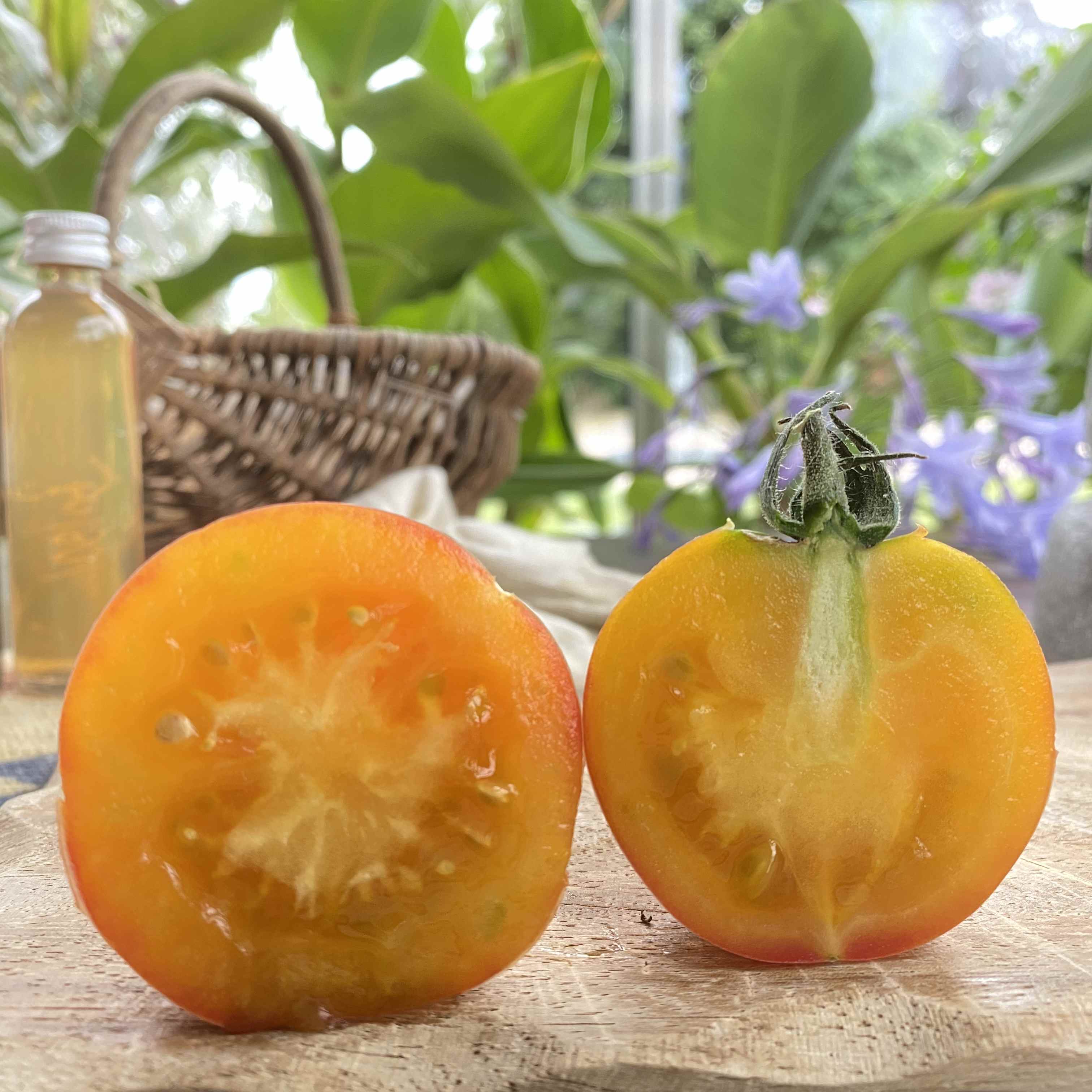 Gelbe längliche und quer aufgeschnittene Tomatenfrucht