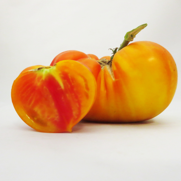Alte Orange/Rote Tomatensorte