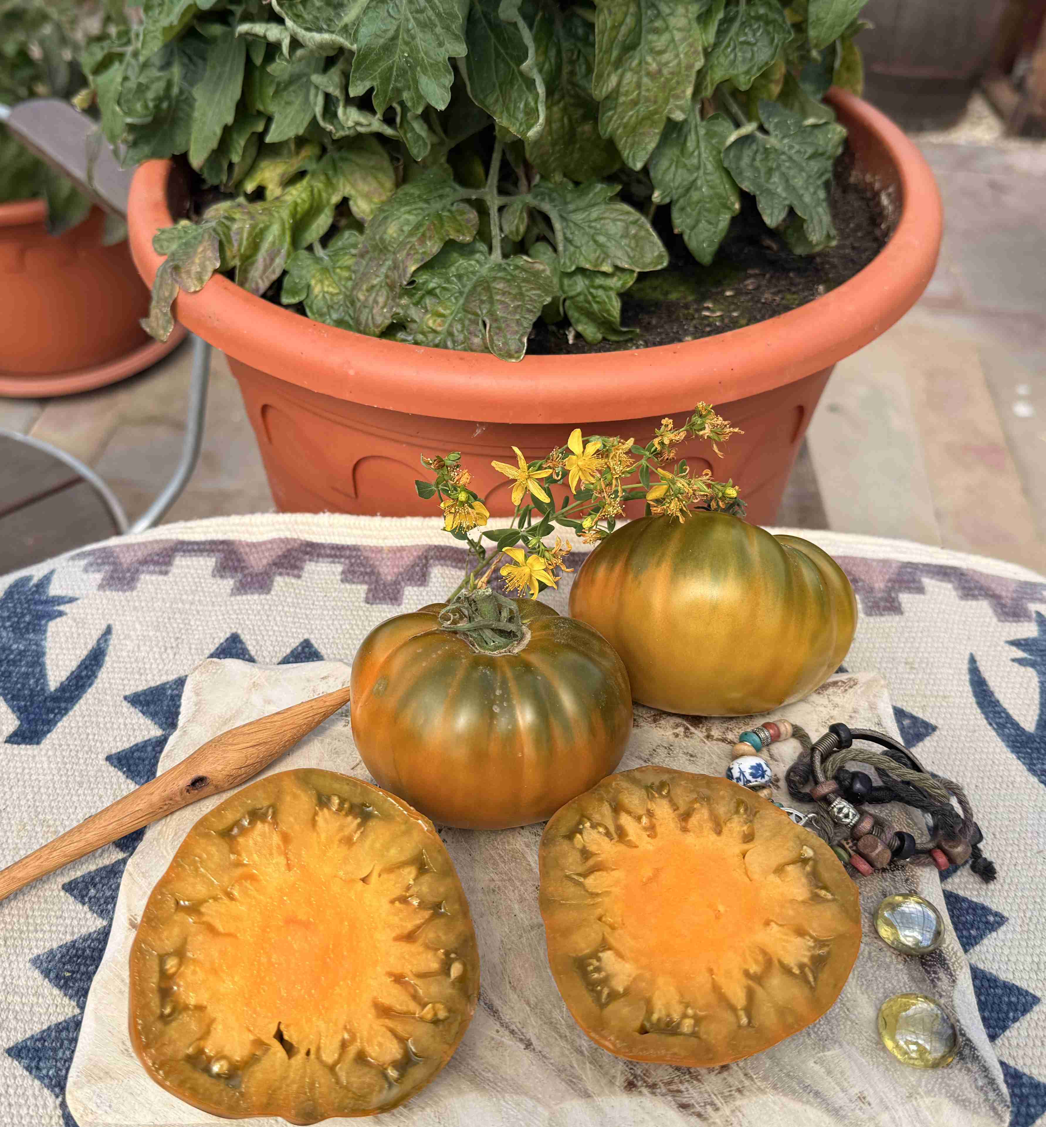 Tomatensaatgut Bo Mango