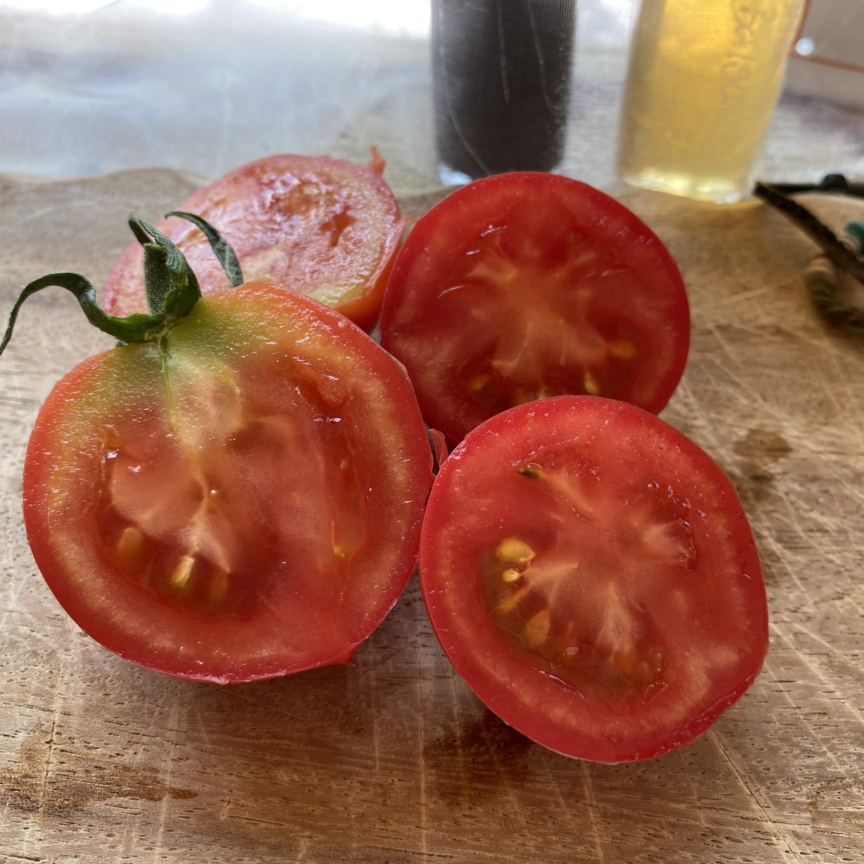 Tomatensaatgut Menryken