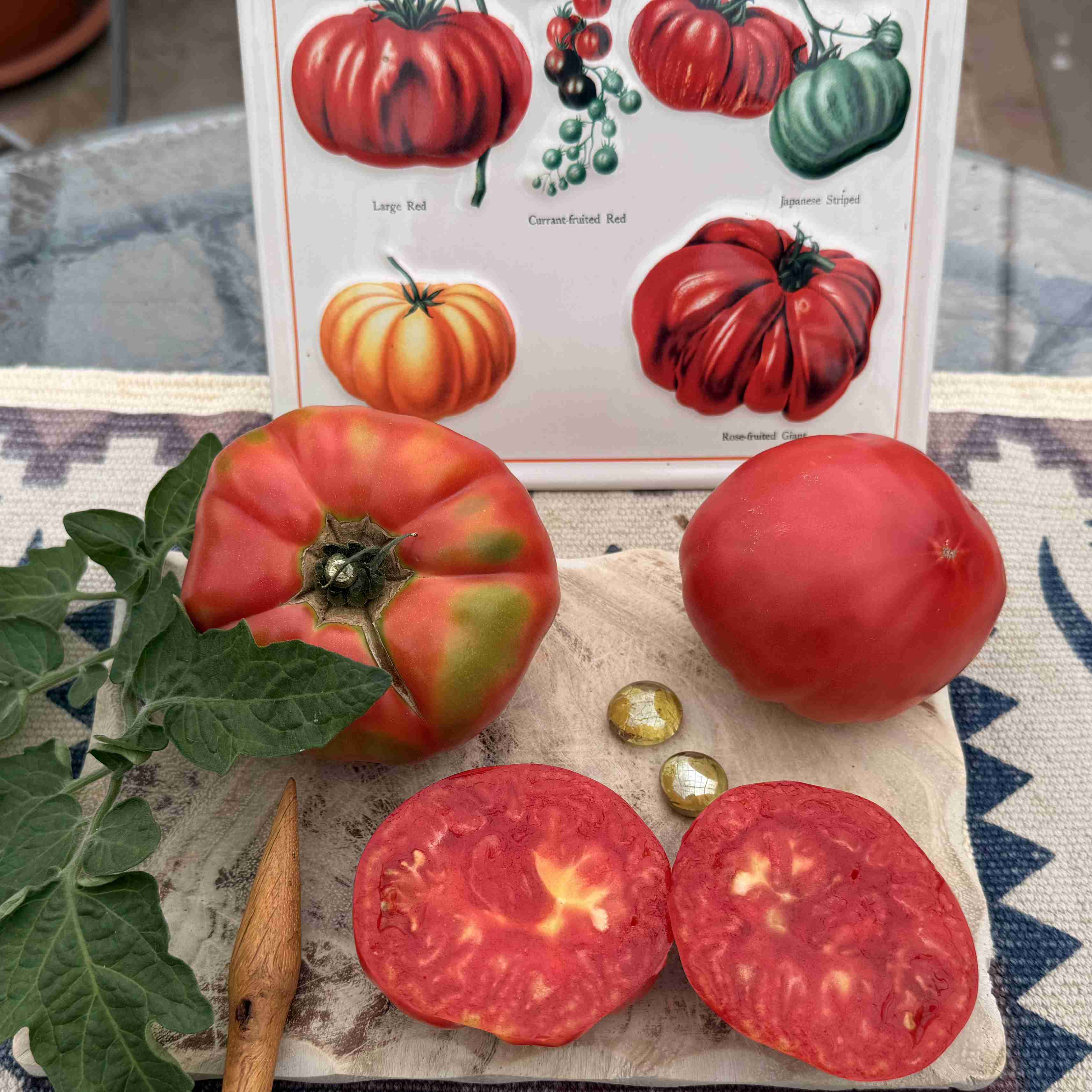 Tomatensaatgut Beefsteak