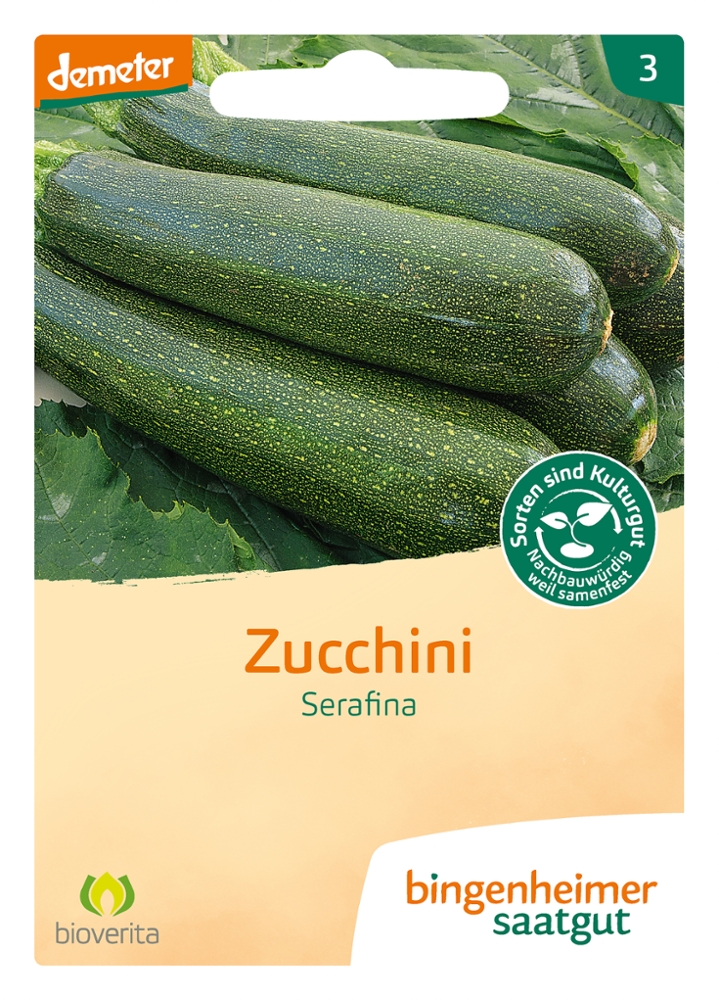 Saatgut Zucchini Serafina -B-
