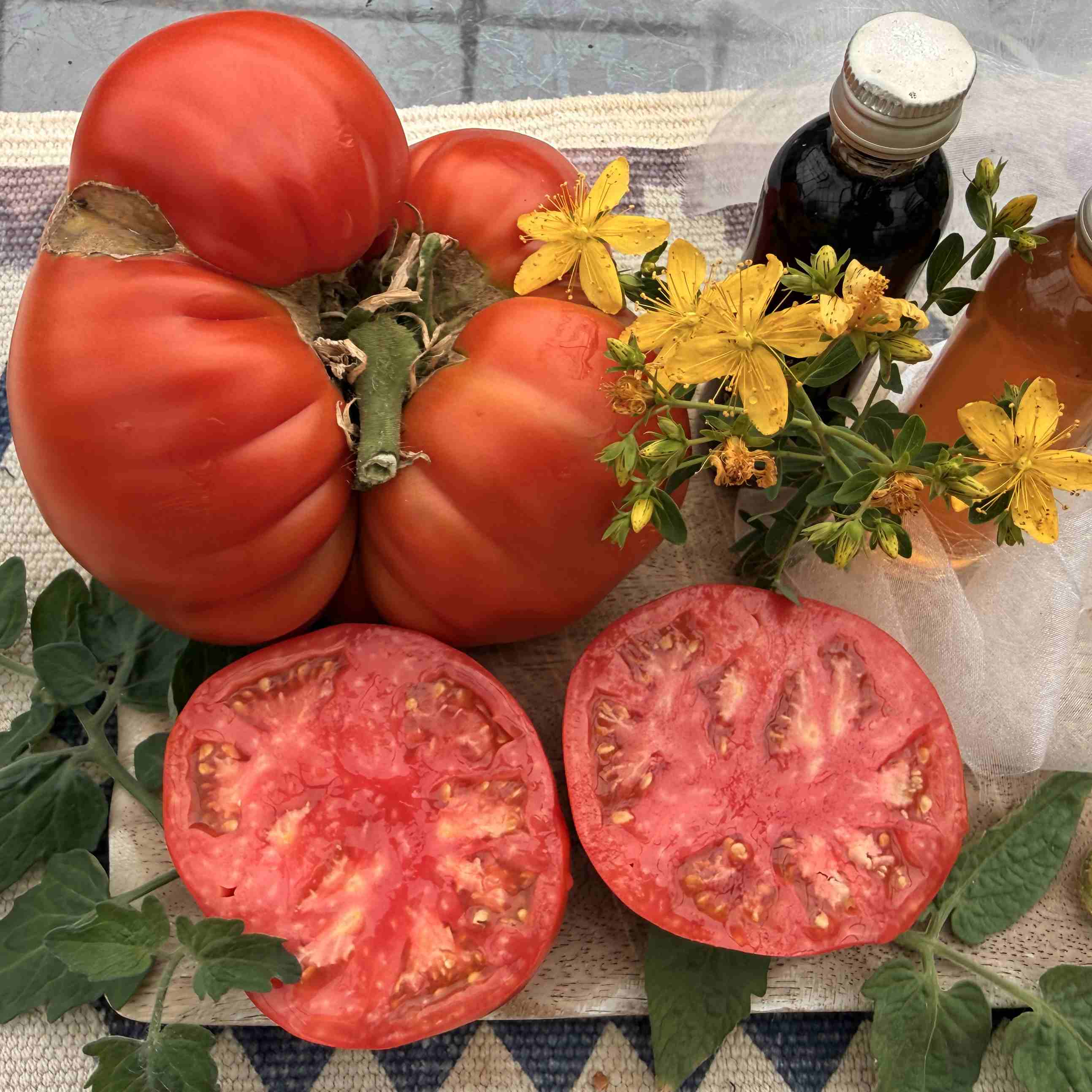 Tomatensaatgut Grosse Dewa