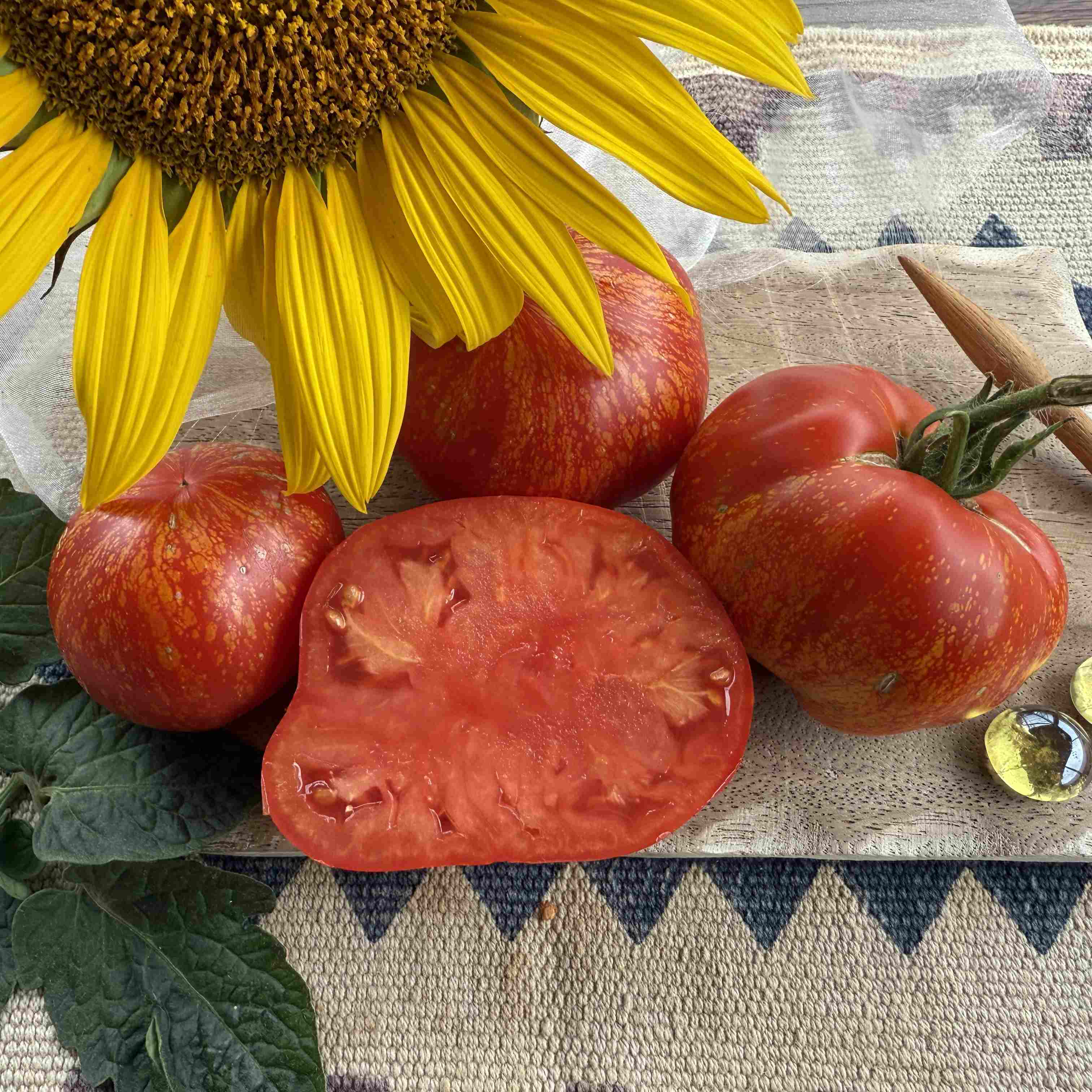 Tomatensaatgut Feuerwerk