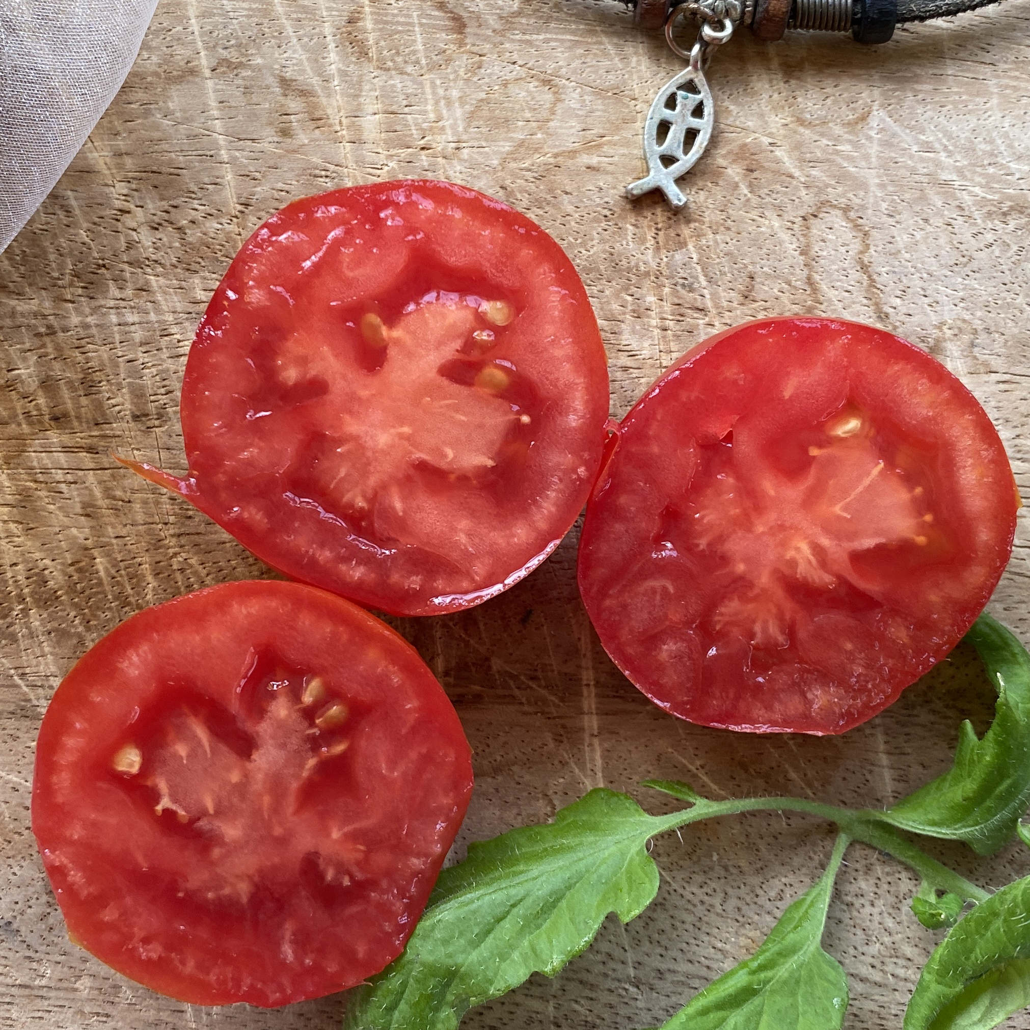 Tomatensaatgut Buissonnante