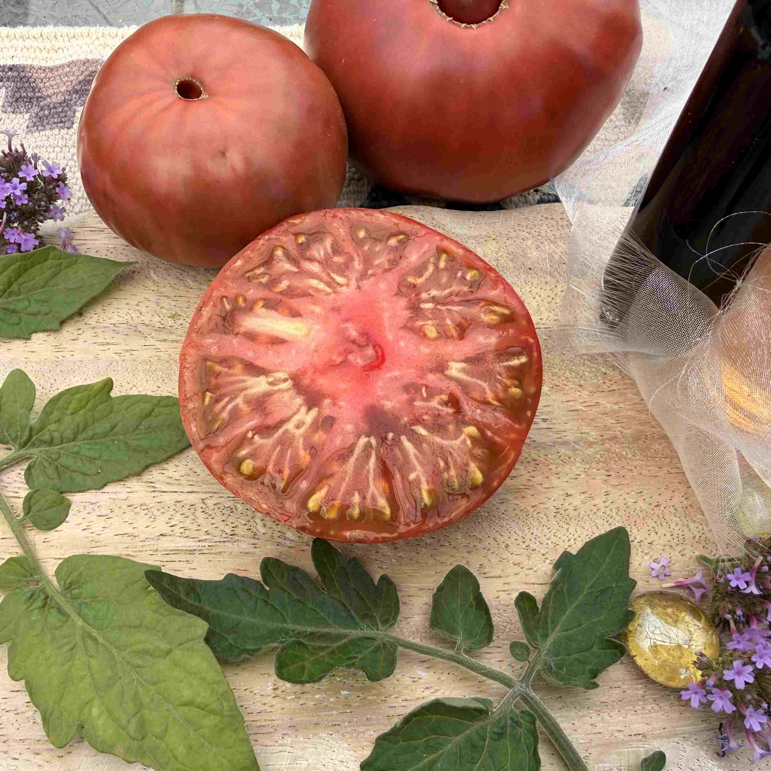Tomatensaatgut Kalvados