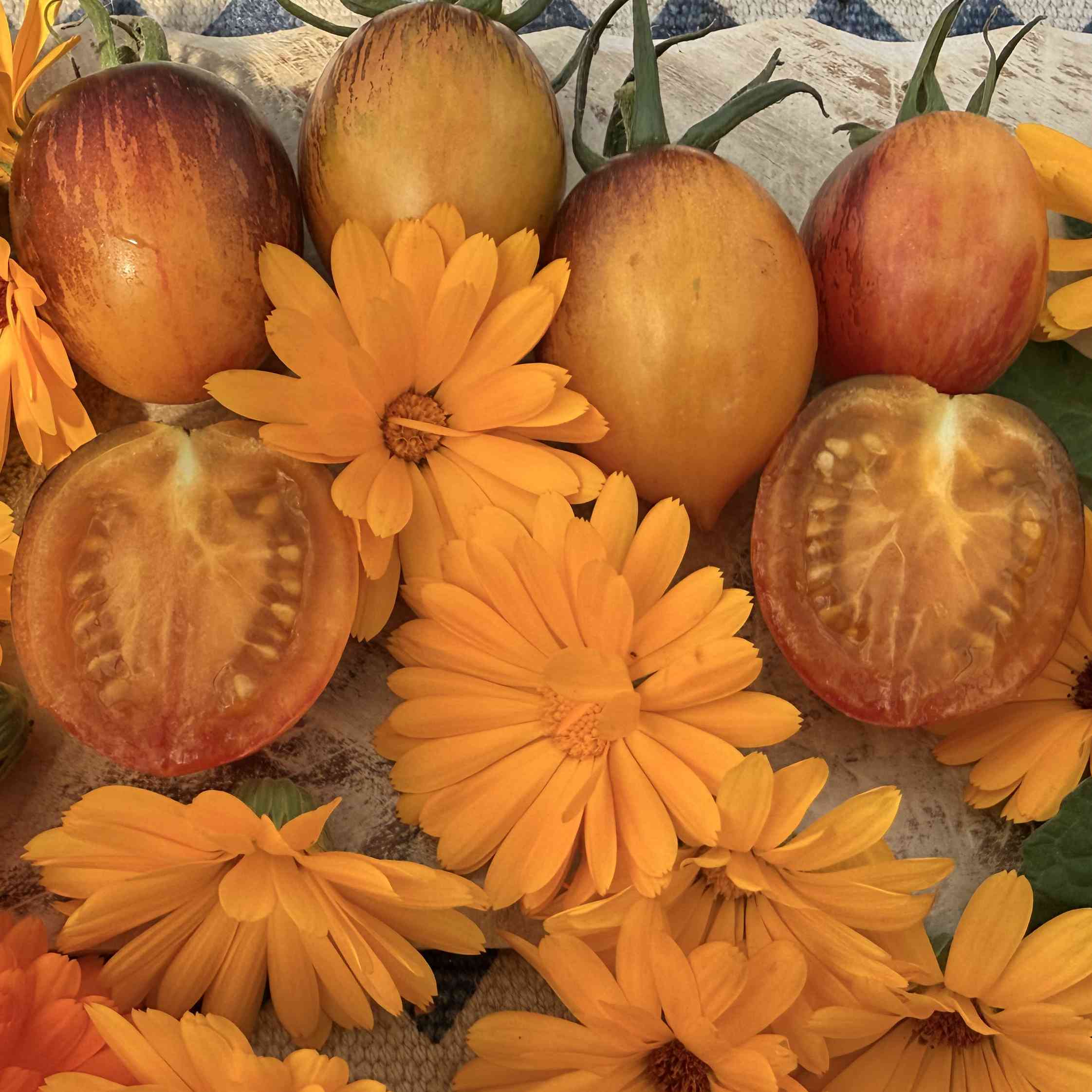 Tomatensaatgut Lyblushka