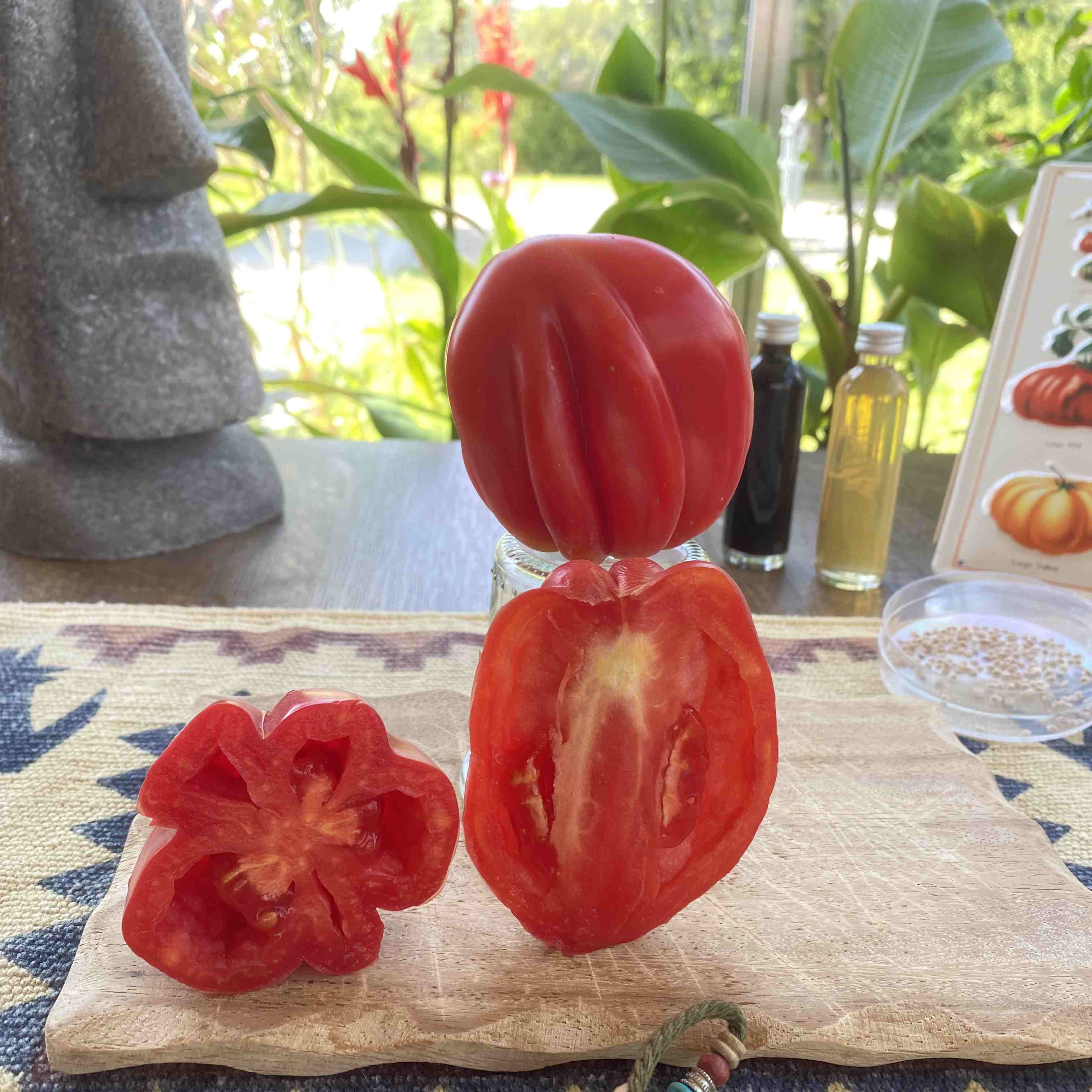 Tomatensaatgut Zahnradtomate