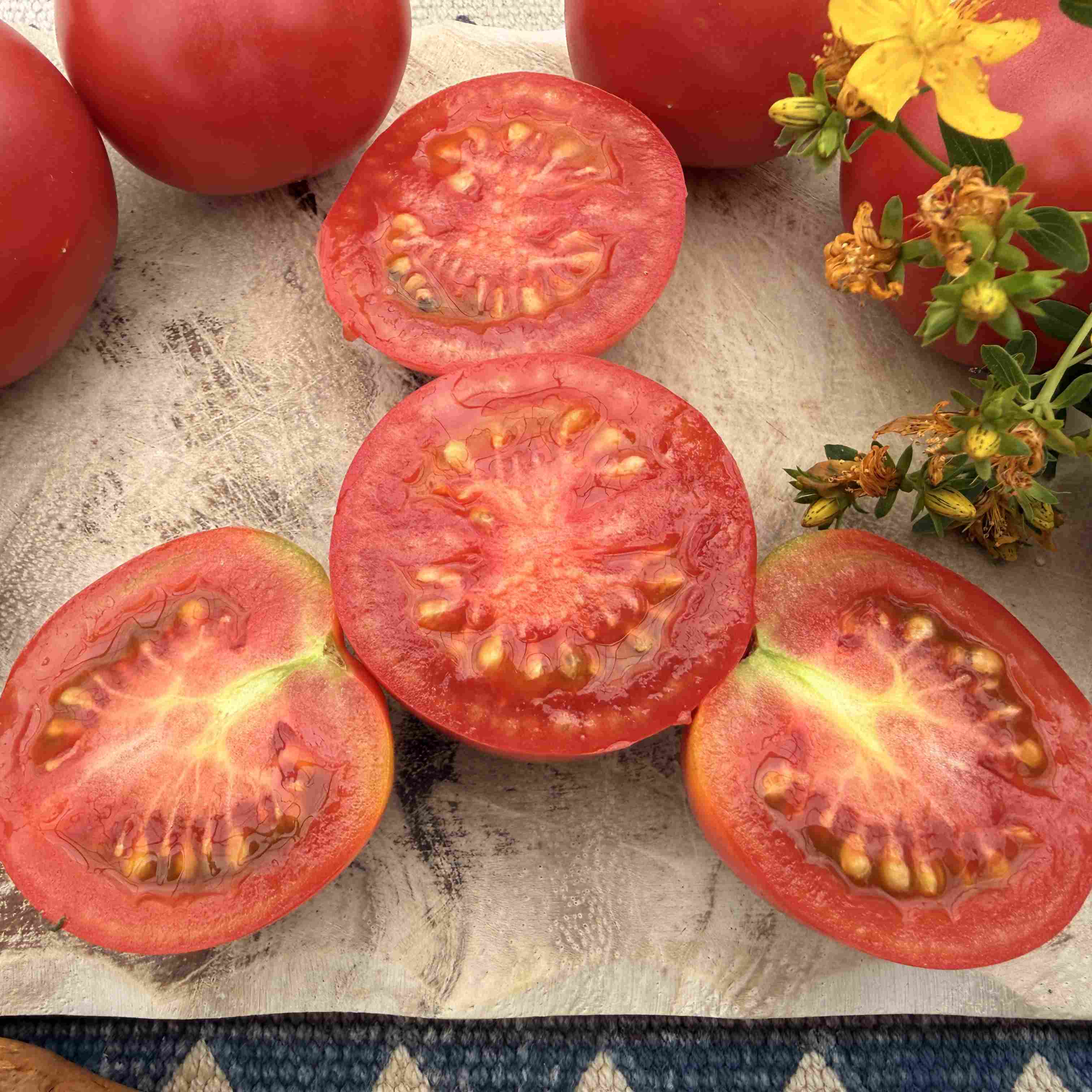 Tomatensaatgut Rosa Roma