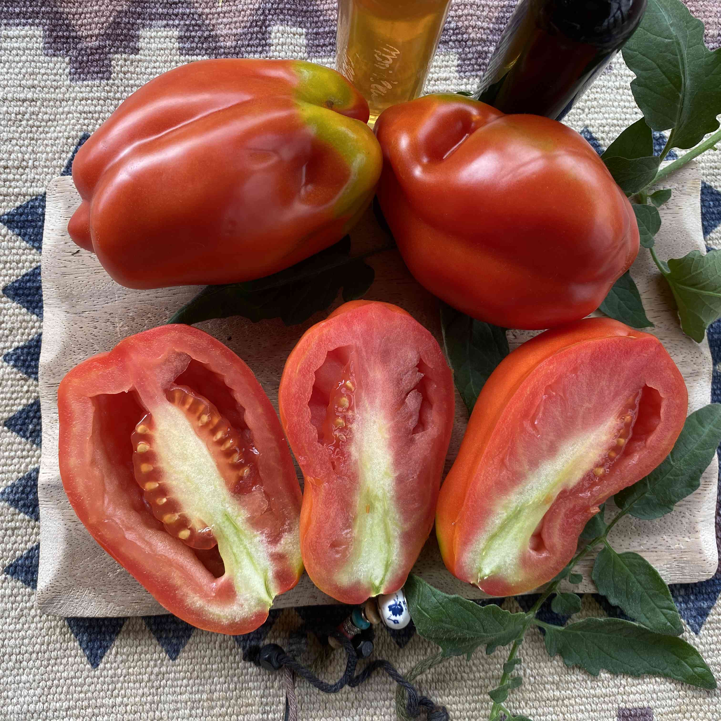 Tomatensaatgut Scatolone