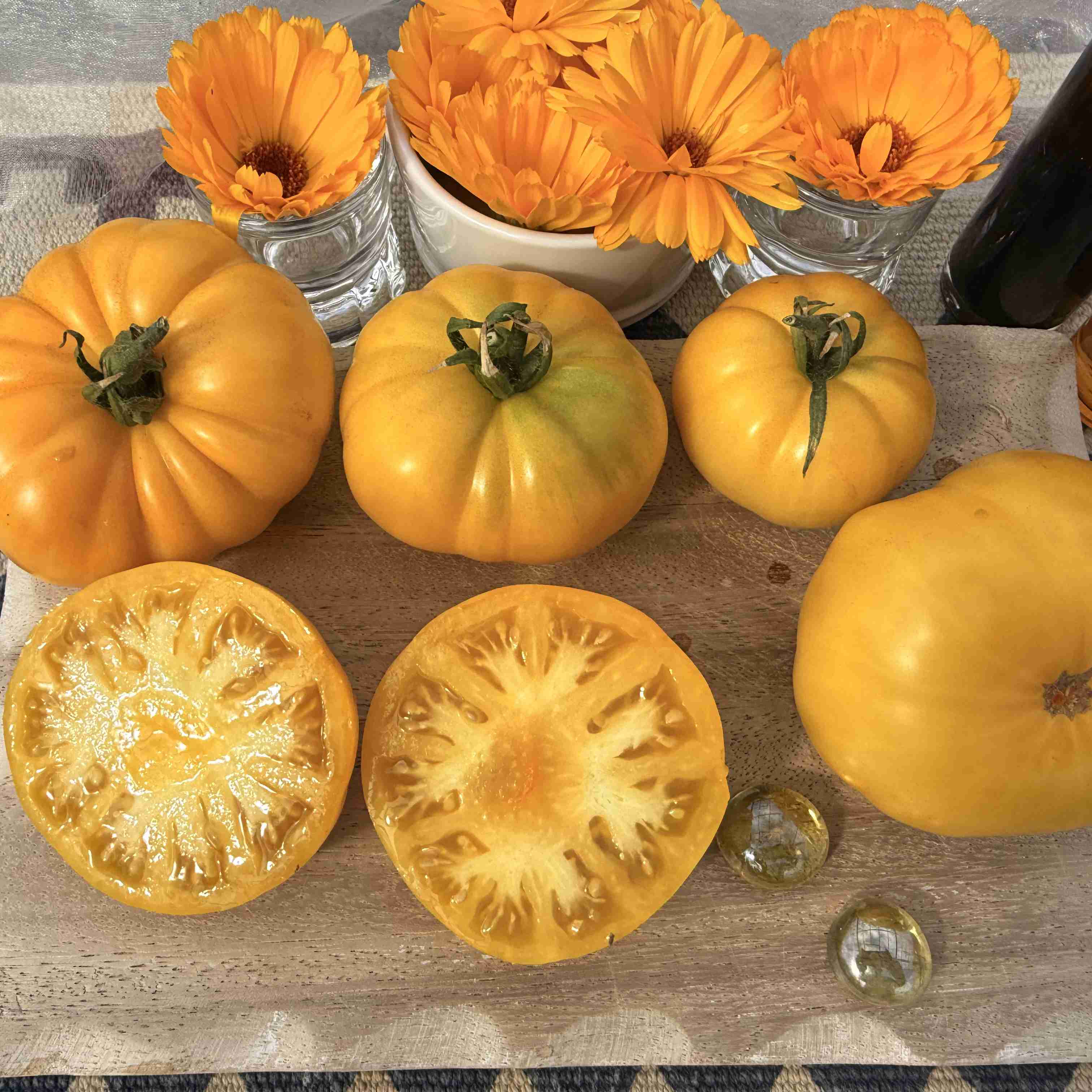 Tomatensaatgut Gail