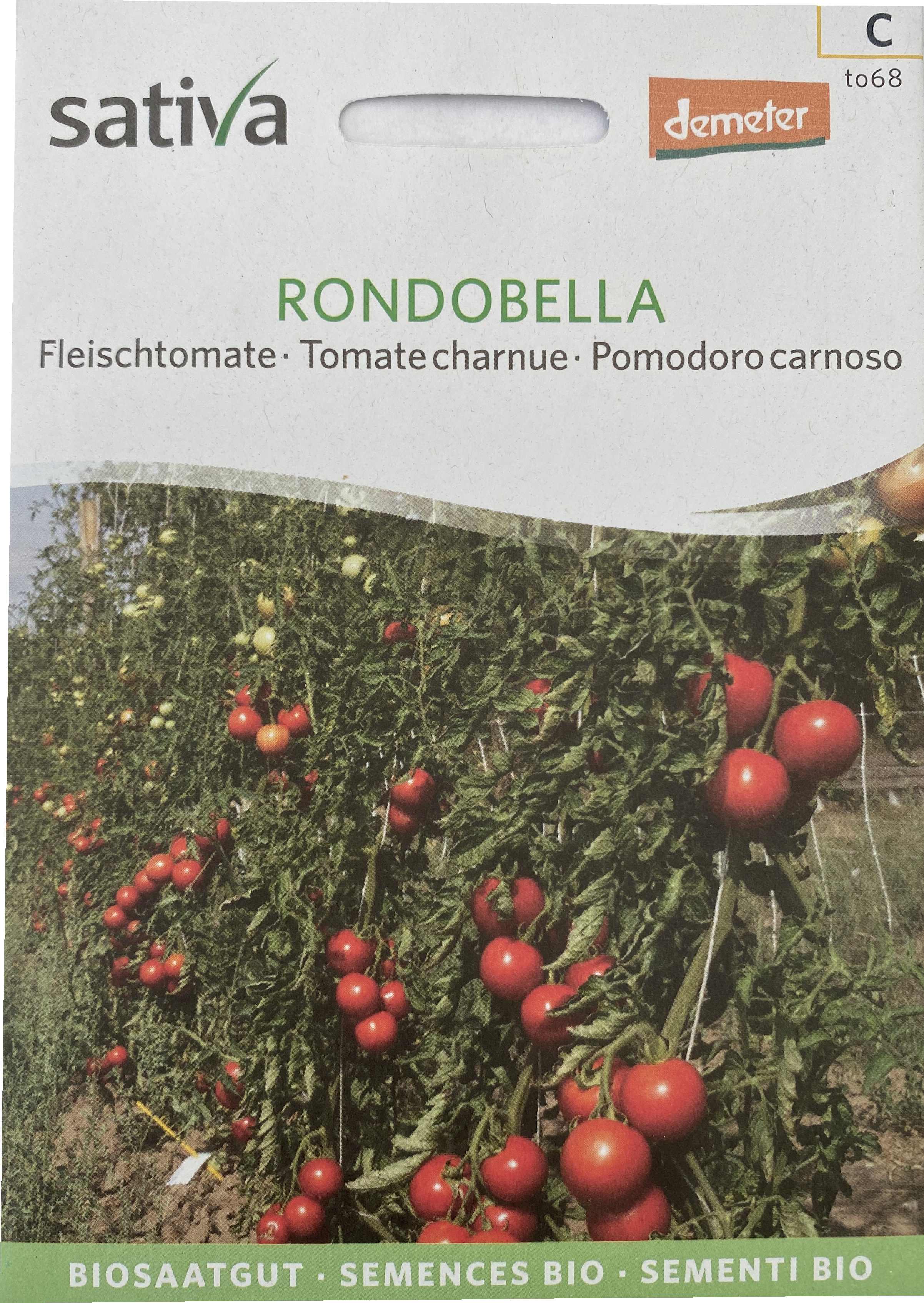 Tomatensaatgut Rondobella -S-