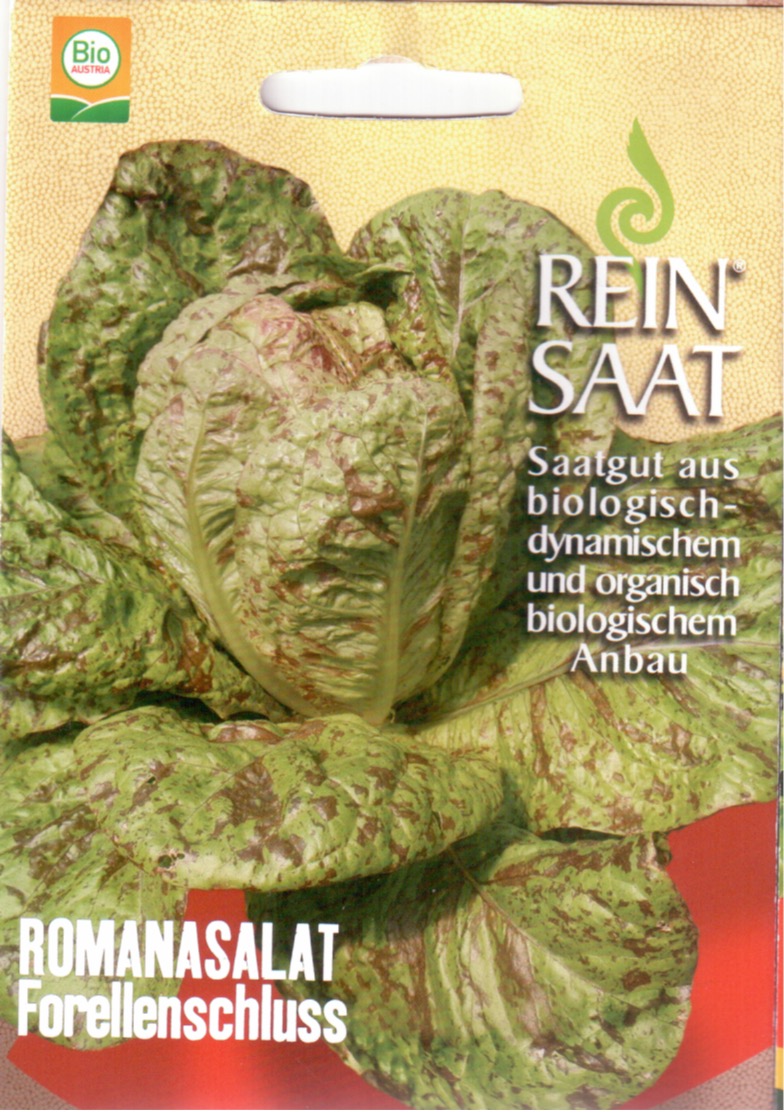 Saatgut Romanasalat Forellenschluss -R-