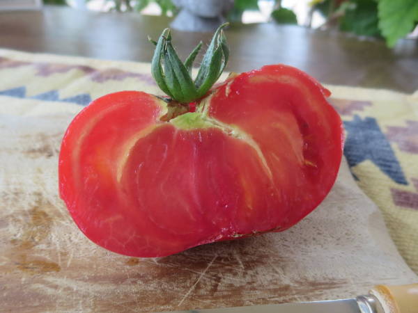 Rot und Pinke Tomatensorte mit wunderbarem Geschmack