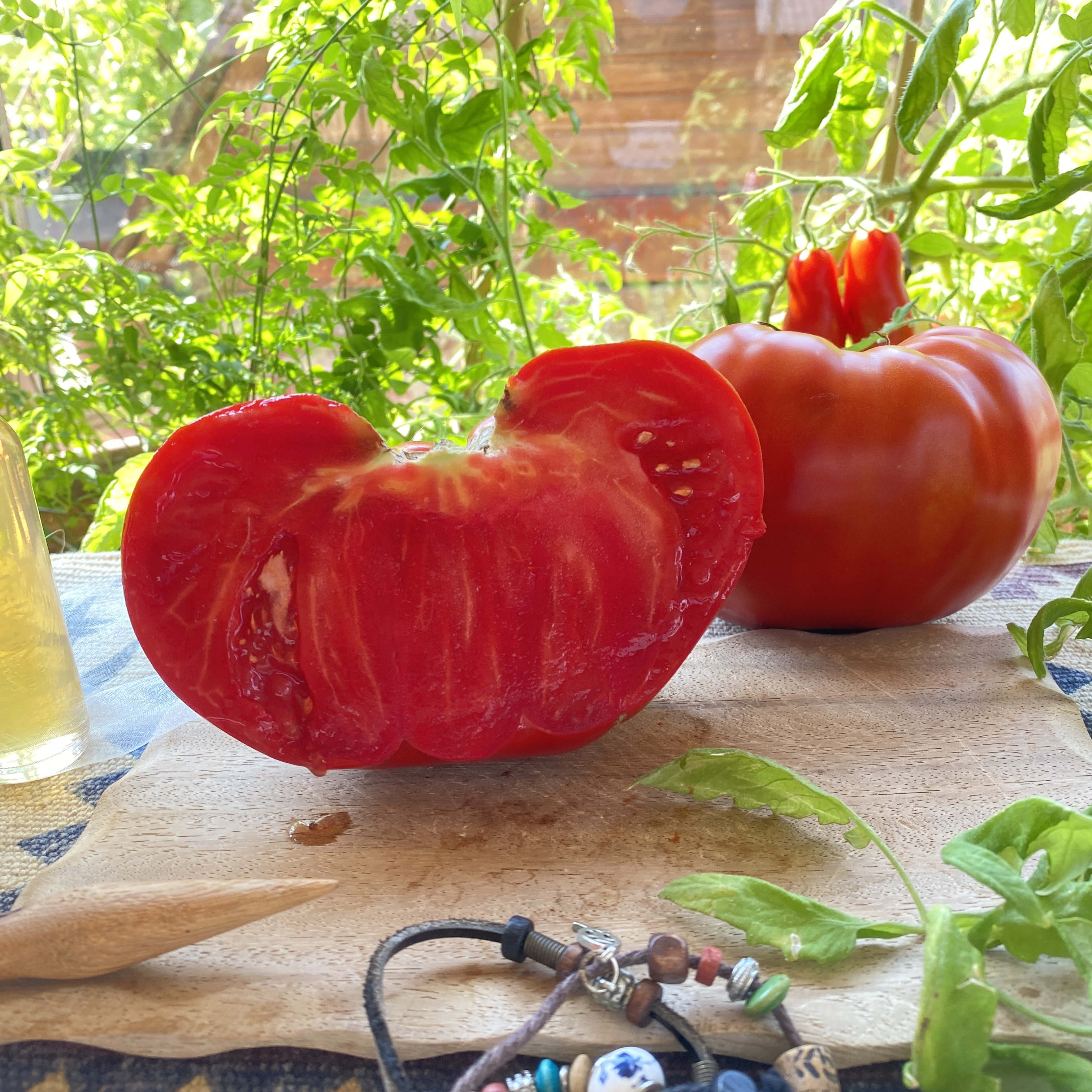 Tomatensaatgut Russe