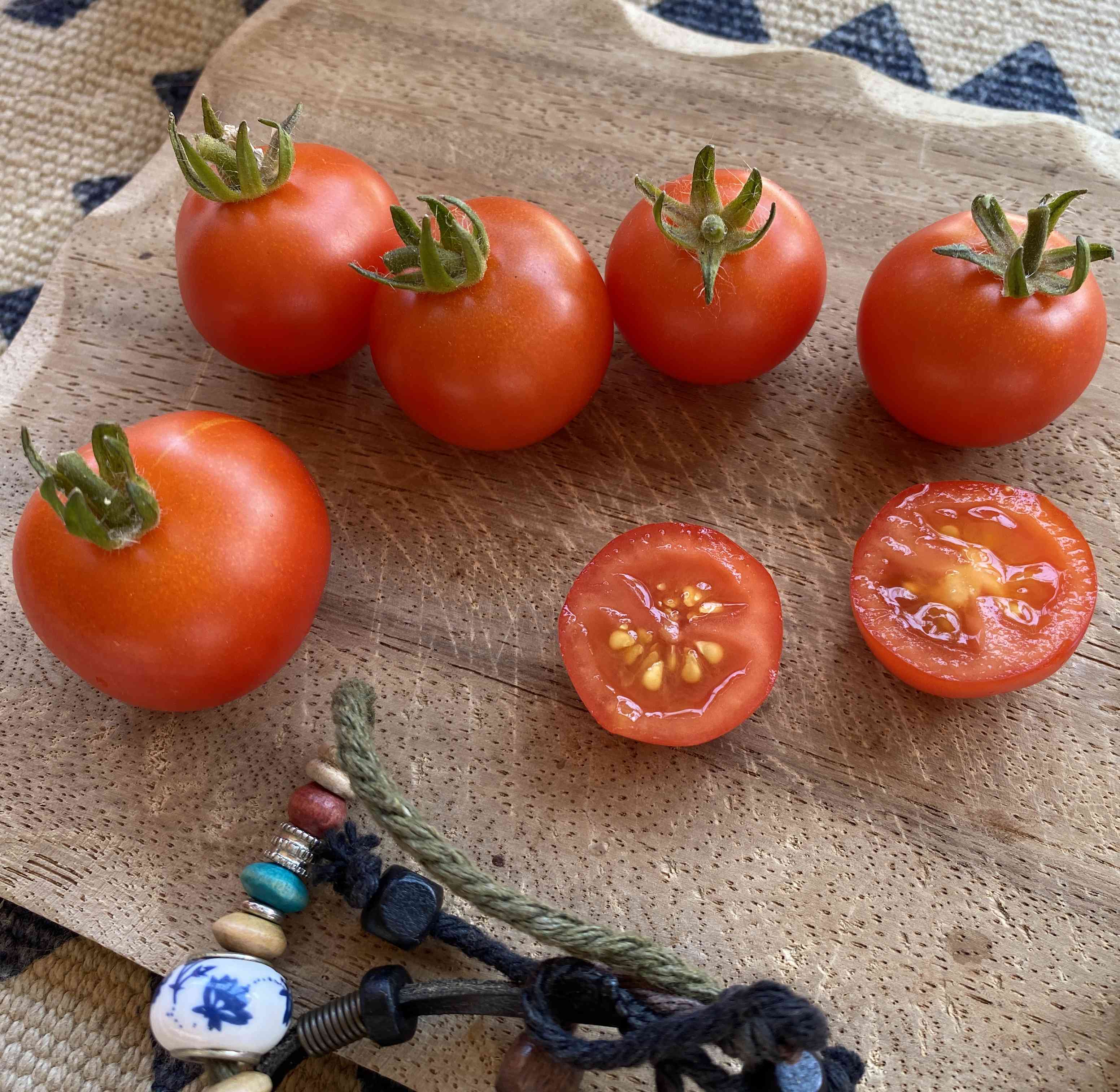Tomatensaatgut Minibel