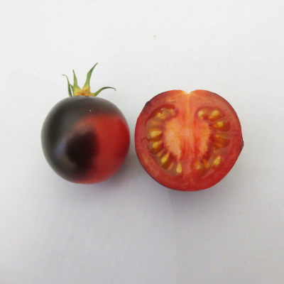 Schöne Rot/Blaue Tomatenfrucht mit gutem Geschmac