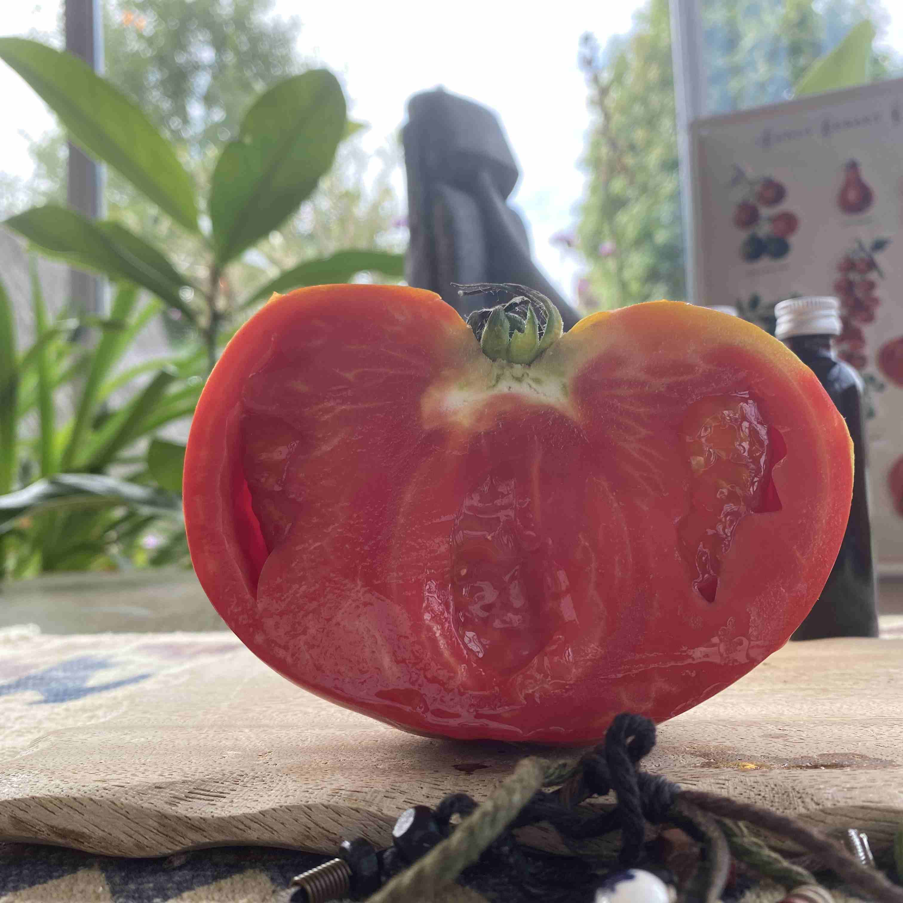 Tomatensaatgut Riese aus Schuntuk