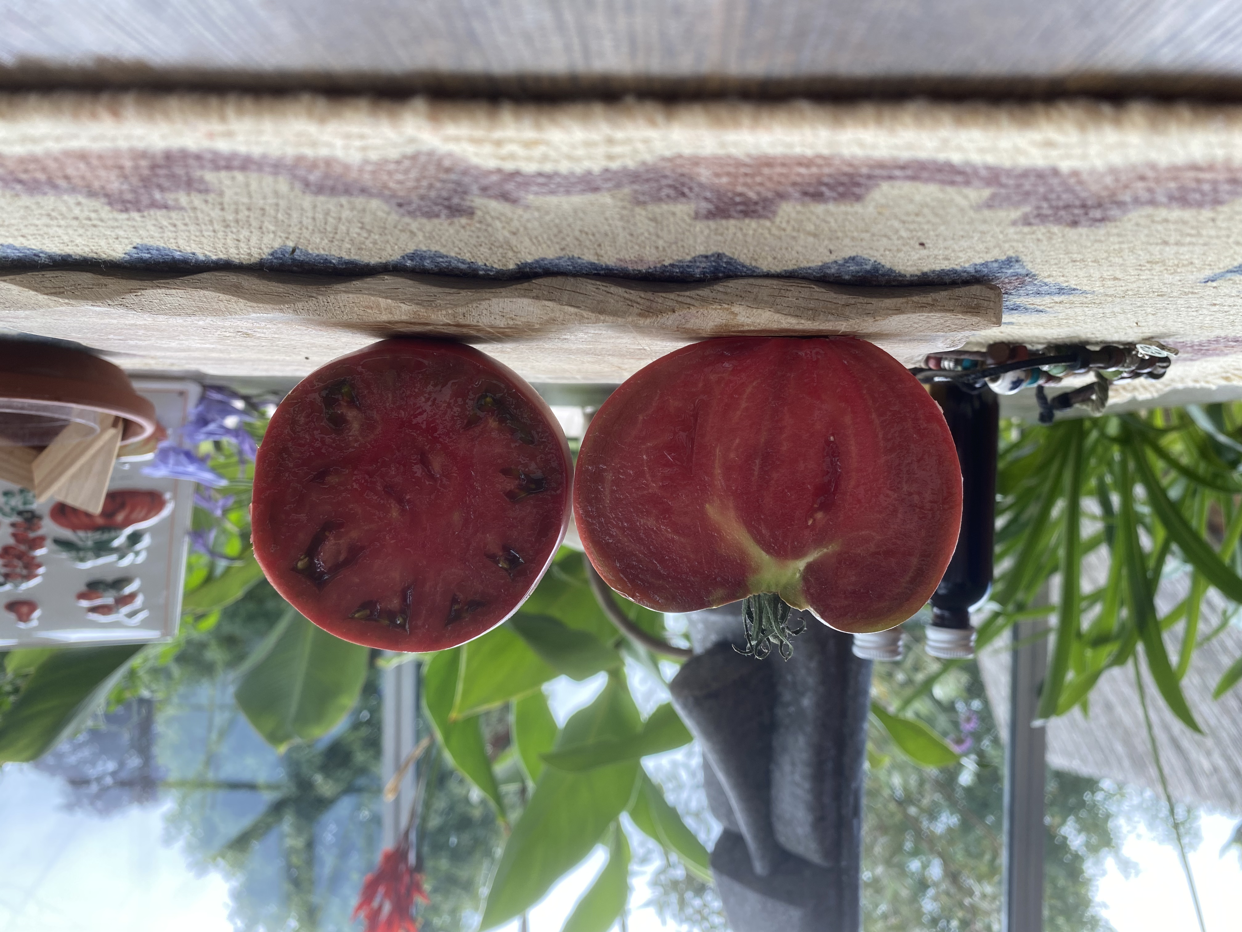 Eine quer und länglich aufgeschnittene lila Tomatenfrucht