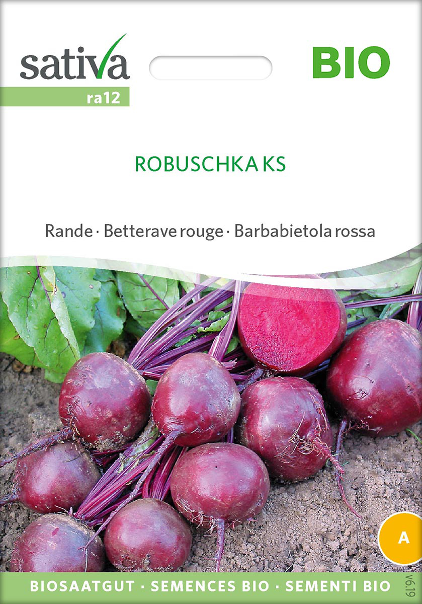 Saatgut Rote Rübe Robuschka -S- 