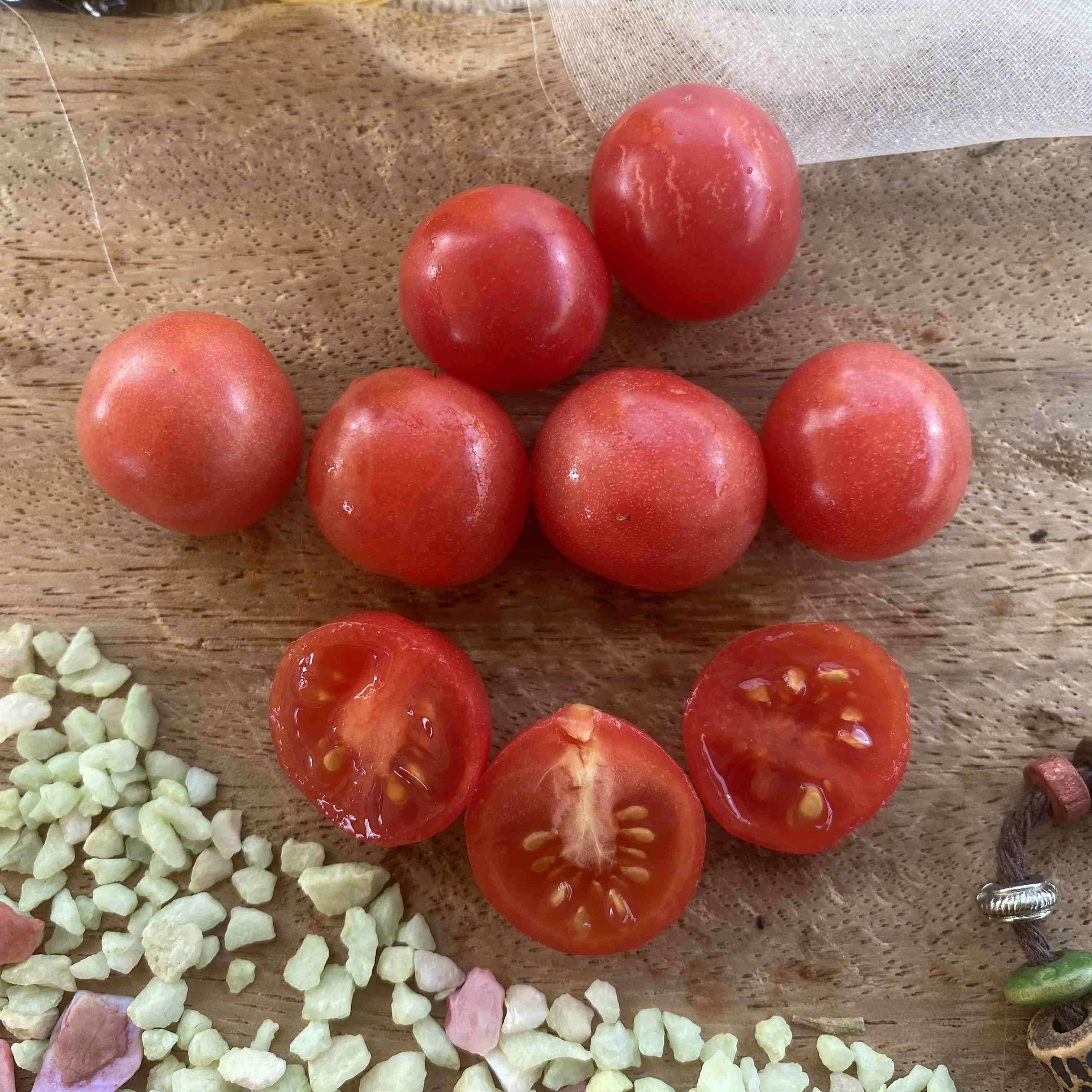Tomatensaatgut Garden Pearl