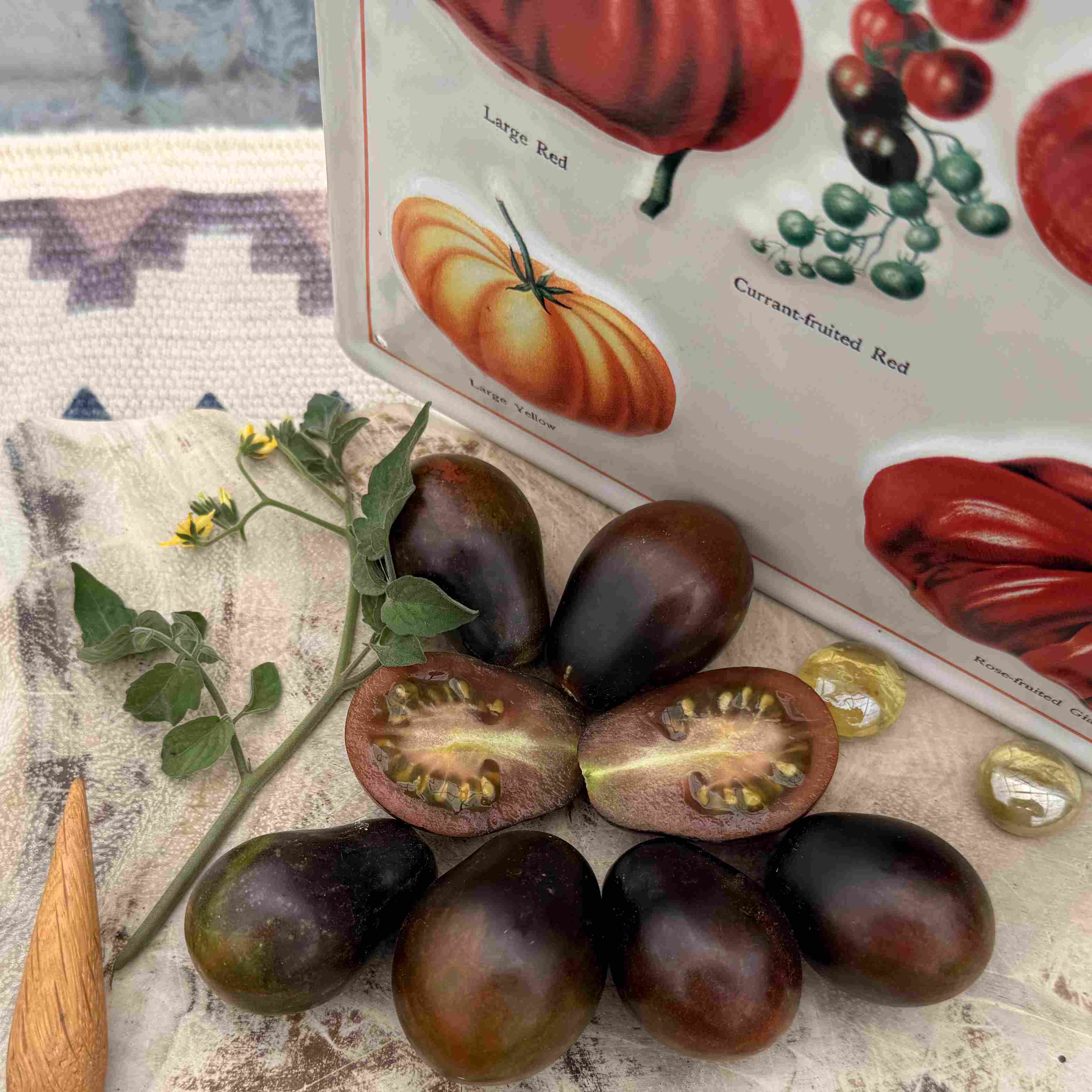 Tomatensaatgut Black Keyes