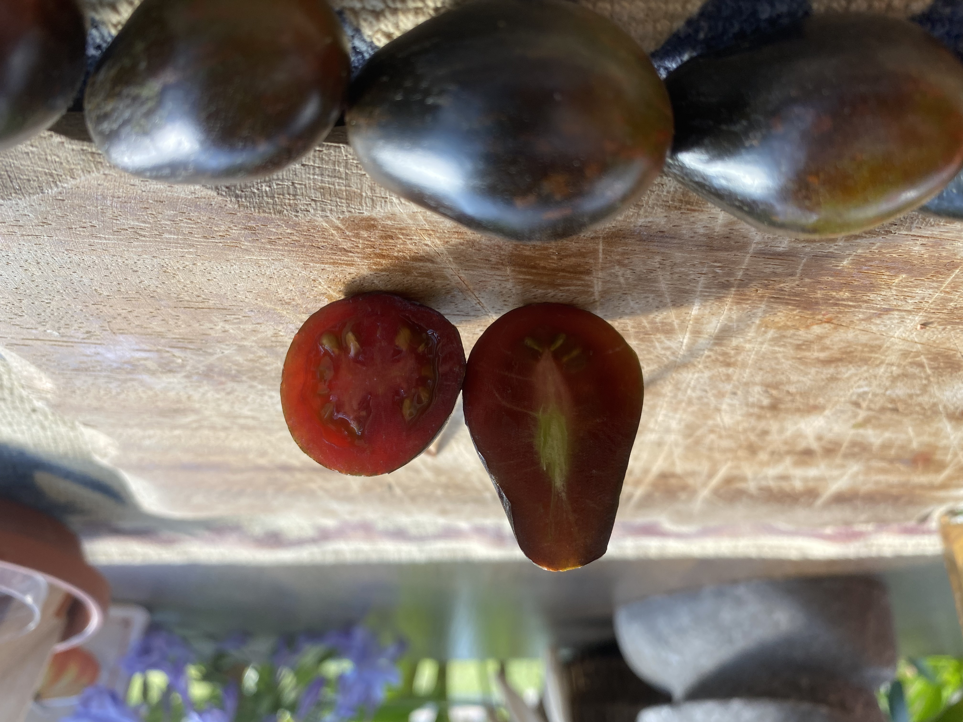 Eine länglich und quer aufgeschnittene braune birnenförmige Tomatenfrucht