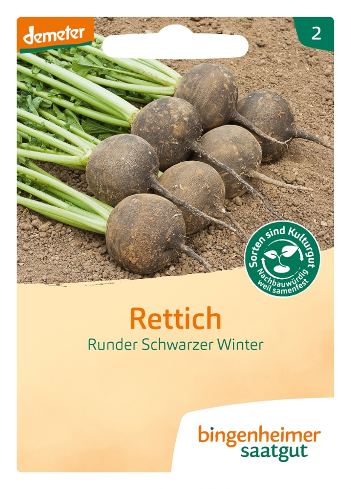 Saatgut Rettich Schwarzer Winter -B-