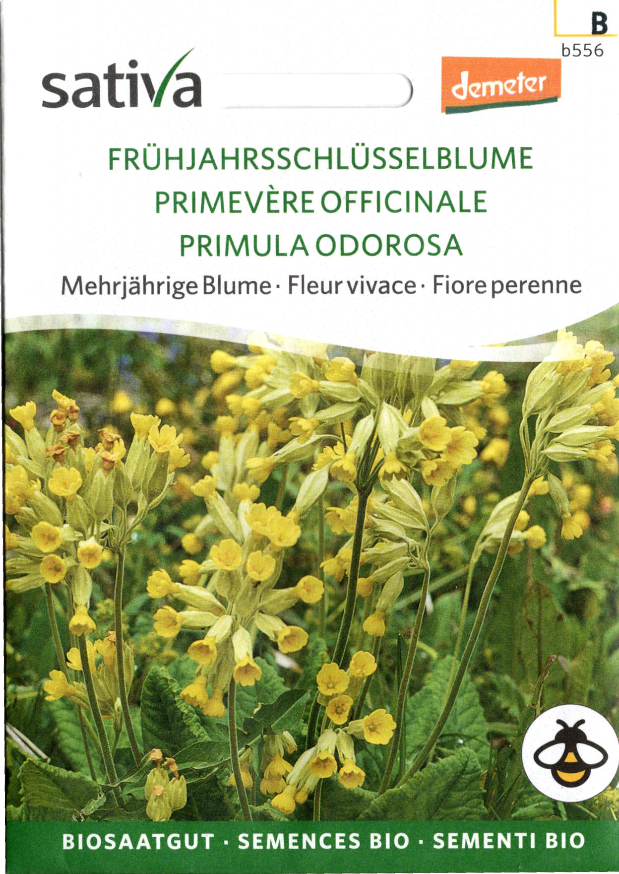 Saatgut Frühjahrsschlüsselblume Duftend -S- 