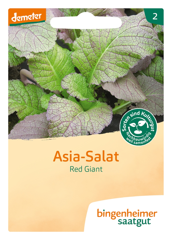 Asia Salat Red Giant -B-