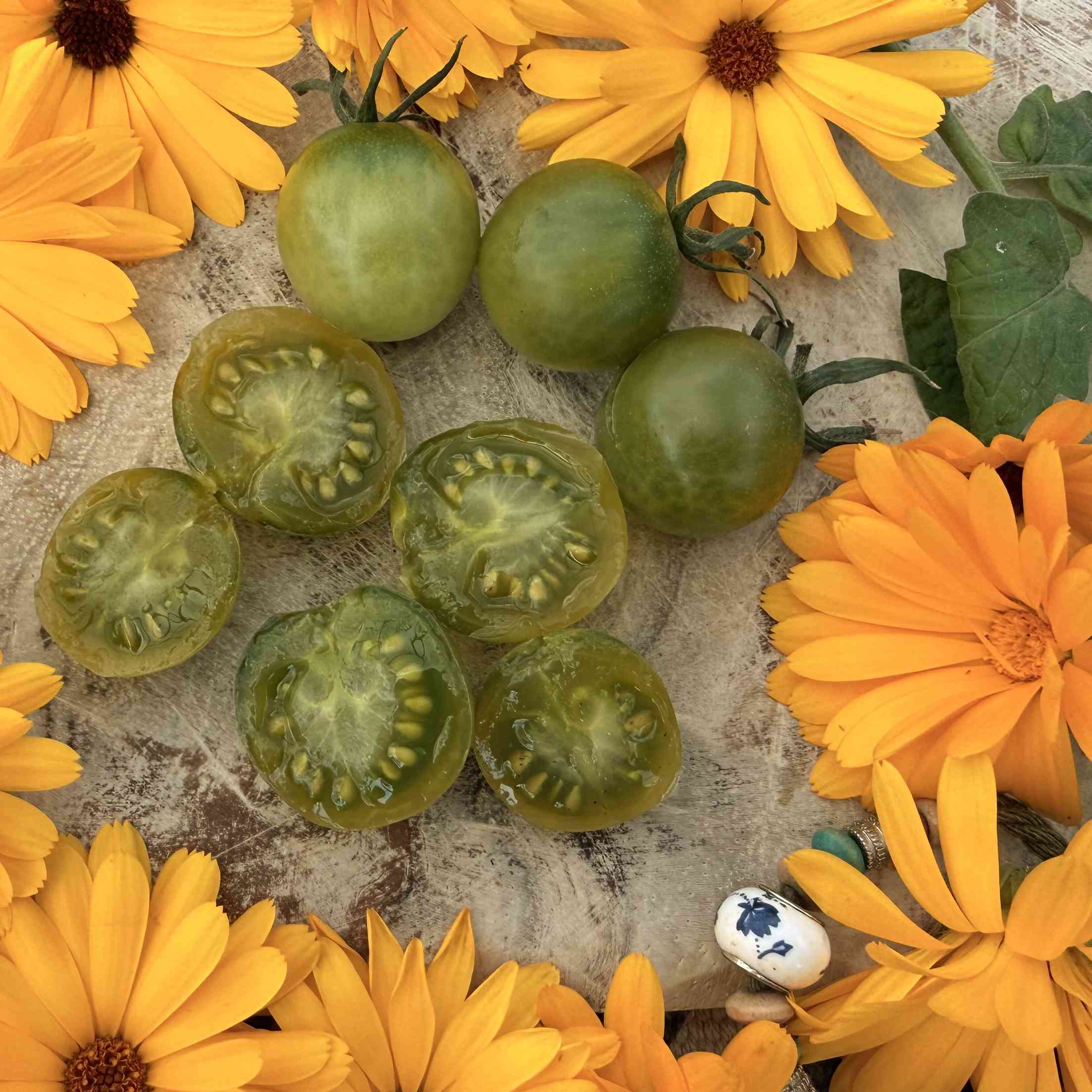 Tomatensaatgut Appalachian Green