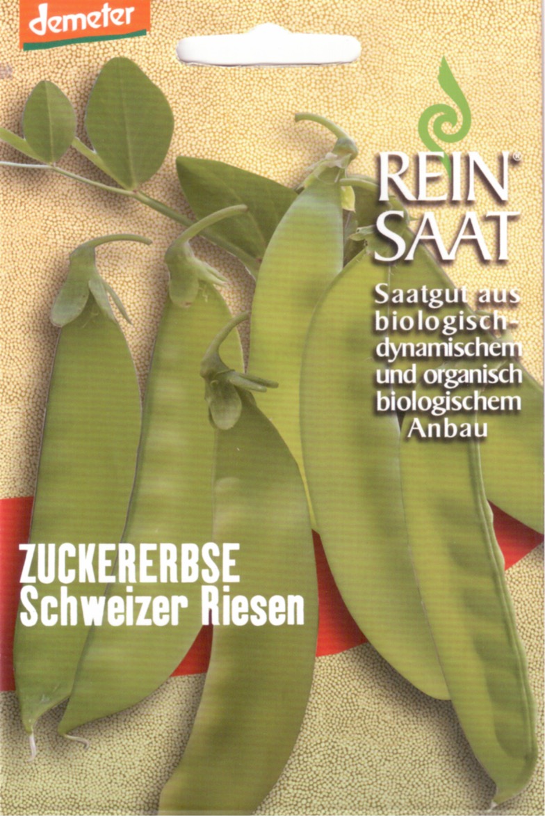 Saatgut Zuckererbse Schweizer Riesen -R-