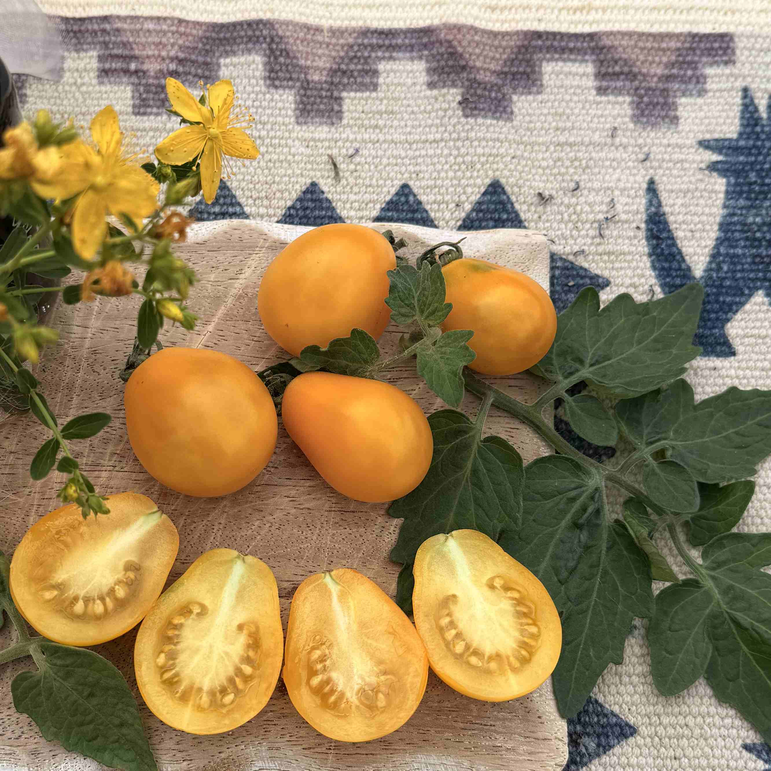 Tomatensaatgut Gelbe Birne