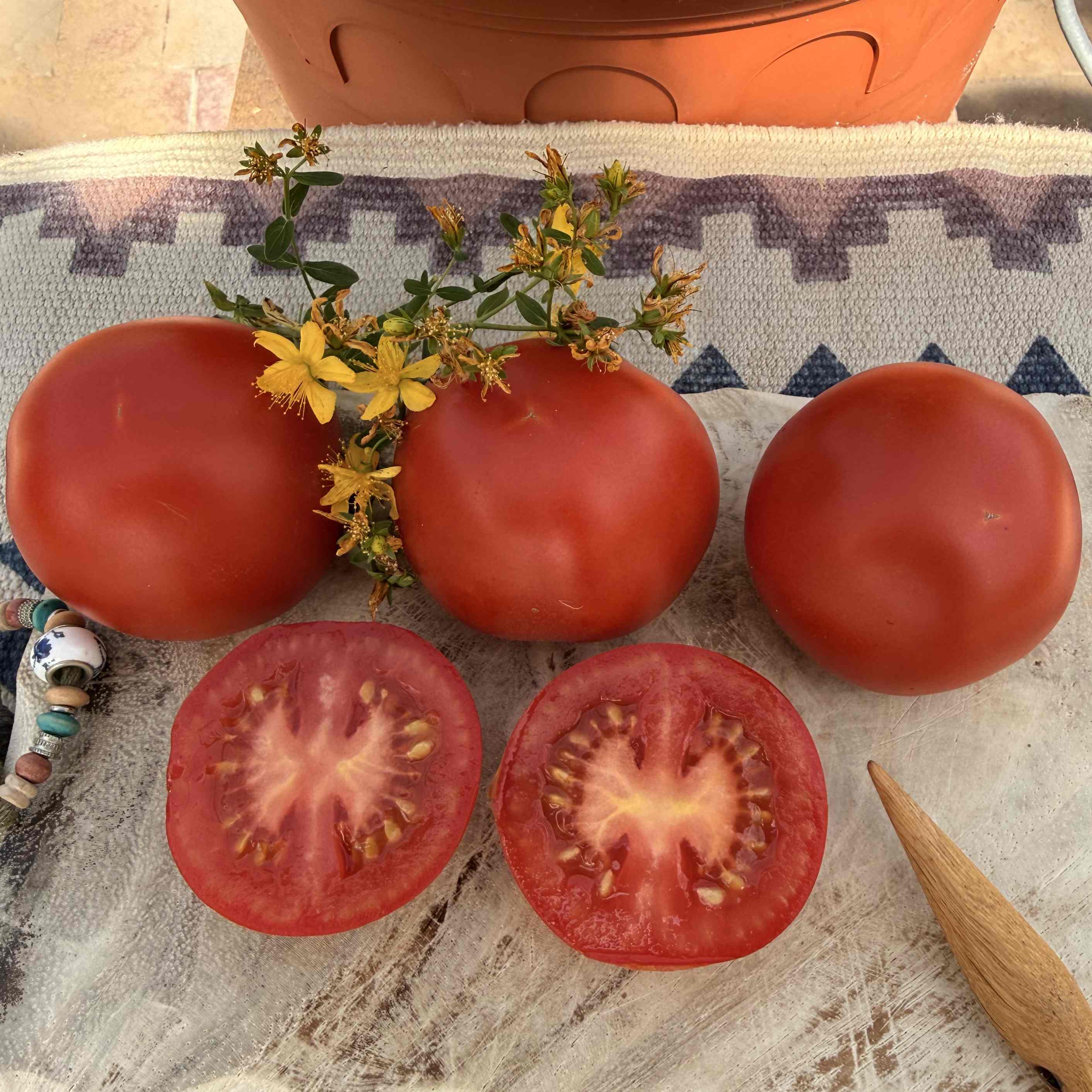 Tomatensaatgut Harzfeuerchen