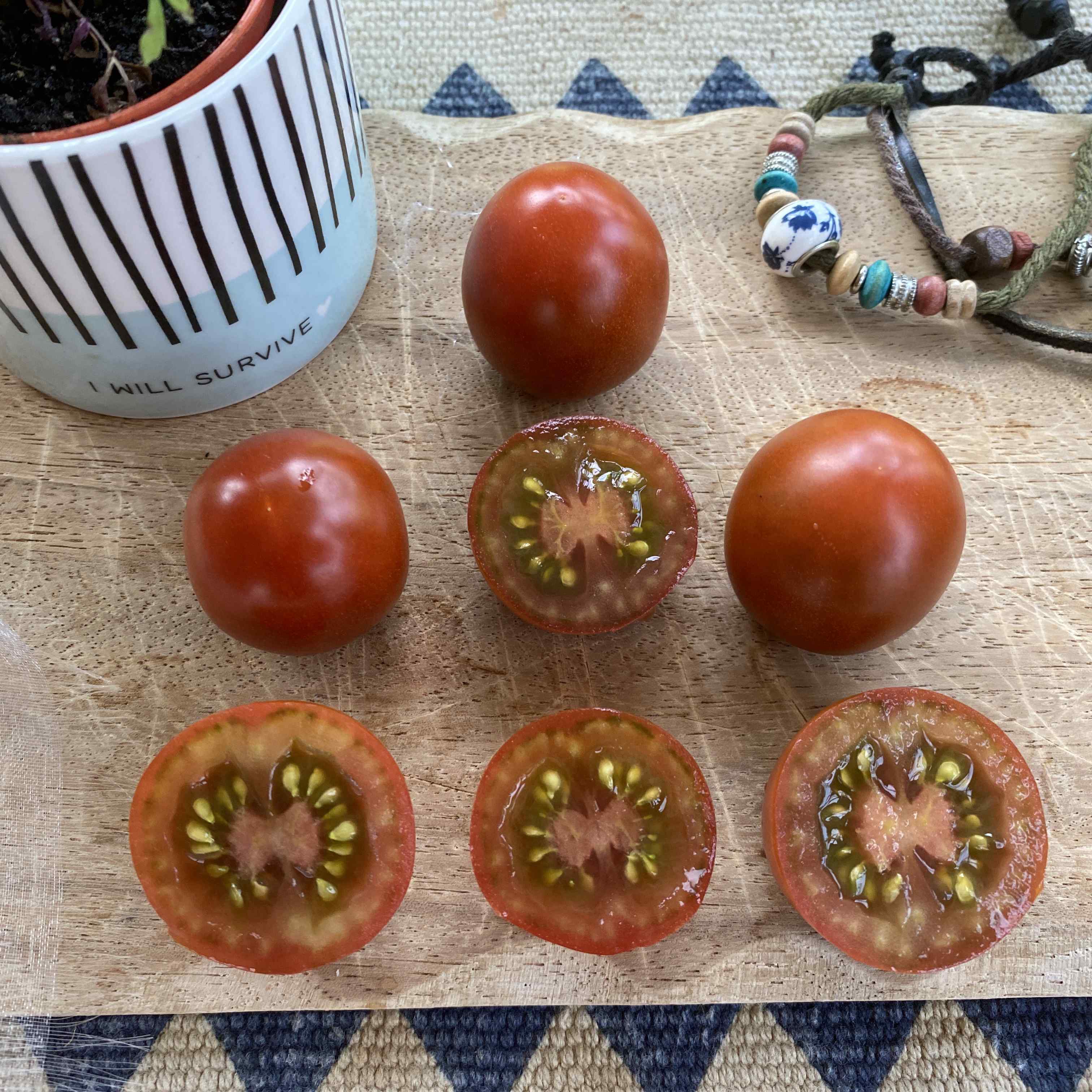 Tomatensaatgut Cappuchino