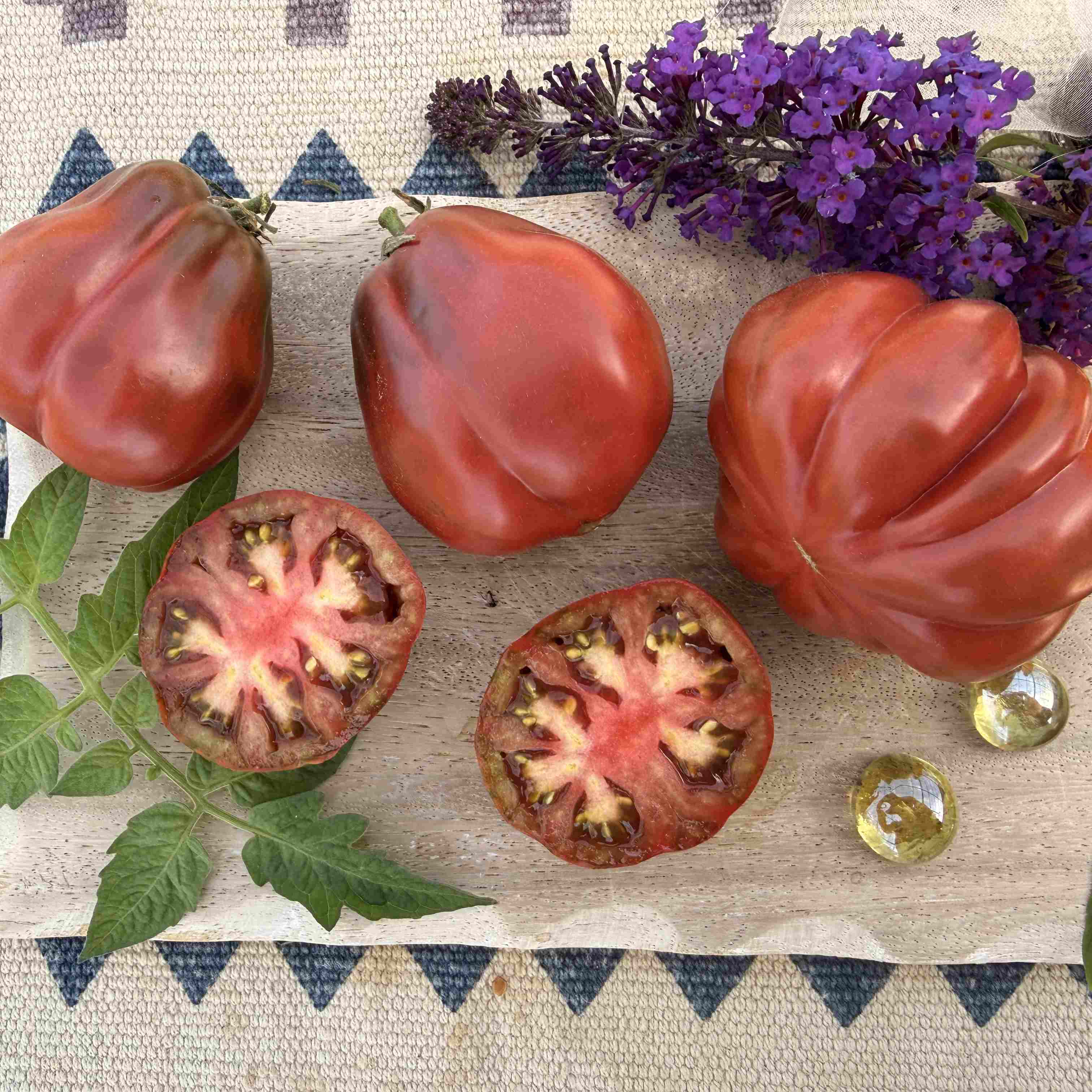 Tomatensaatgut Bordeaux
