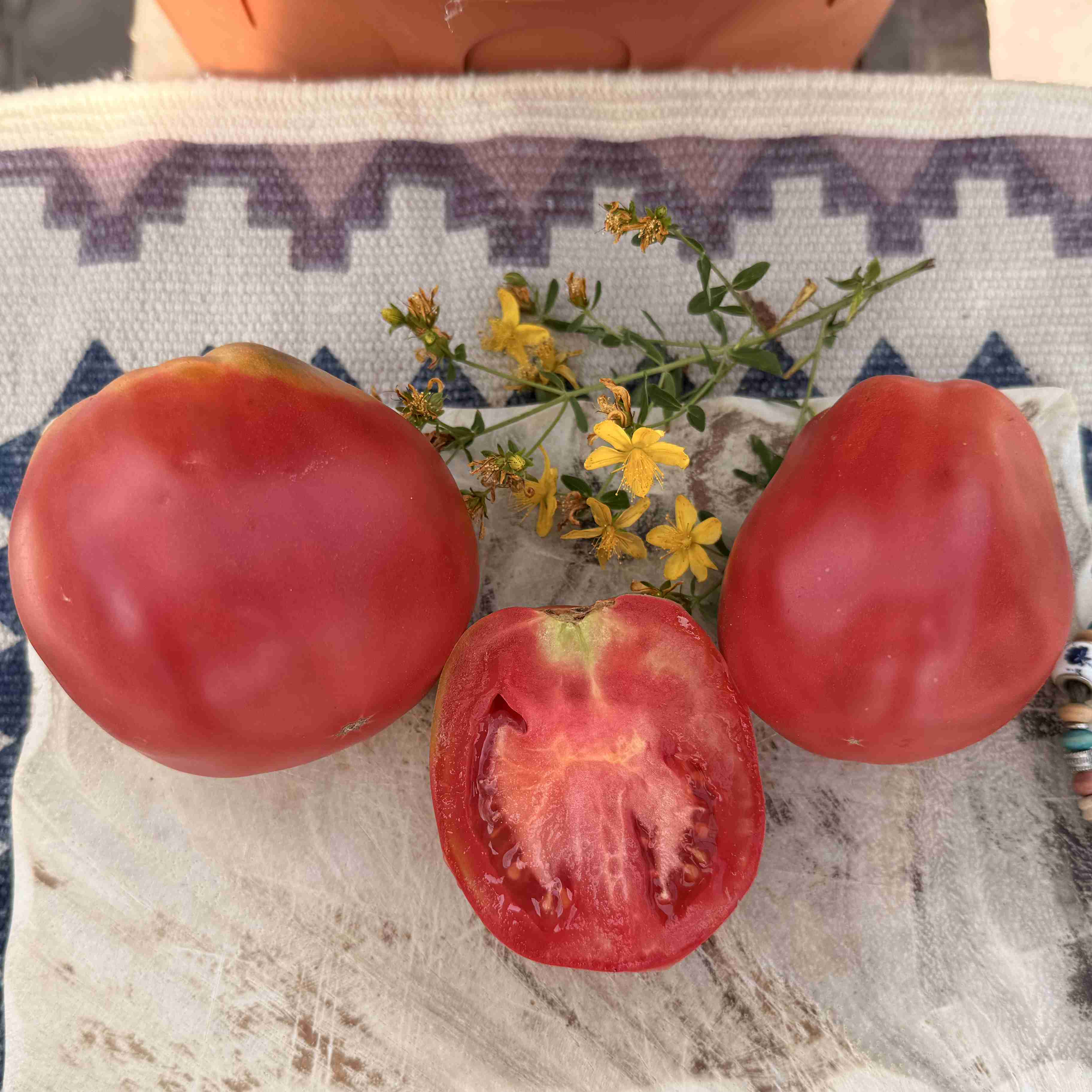Tomatensaatgut Beutelförmige aus Persien