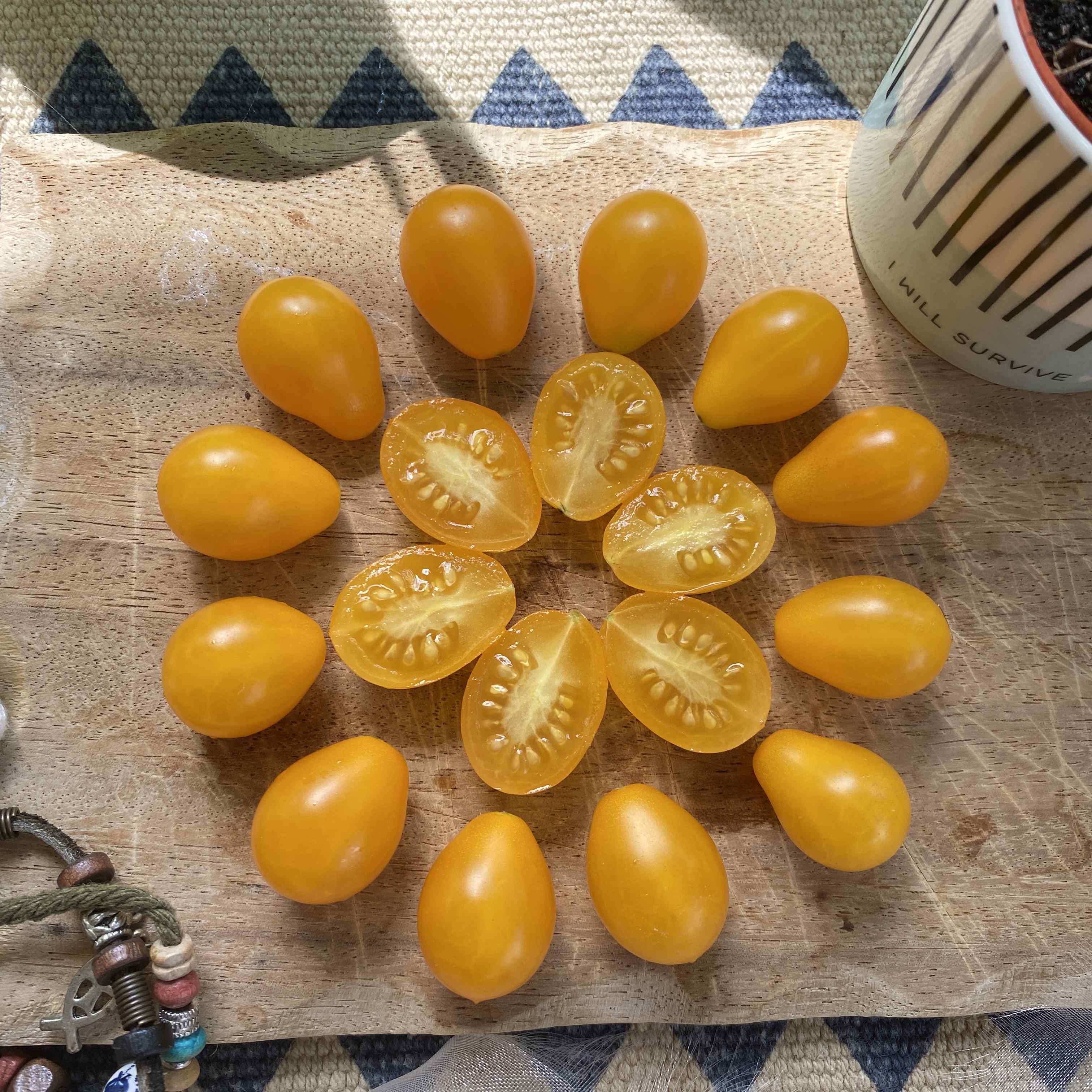 Tomatensaatgut Kleine Estländische Gelbe