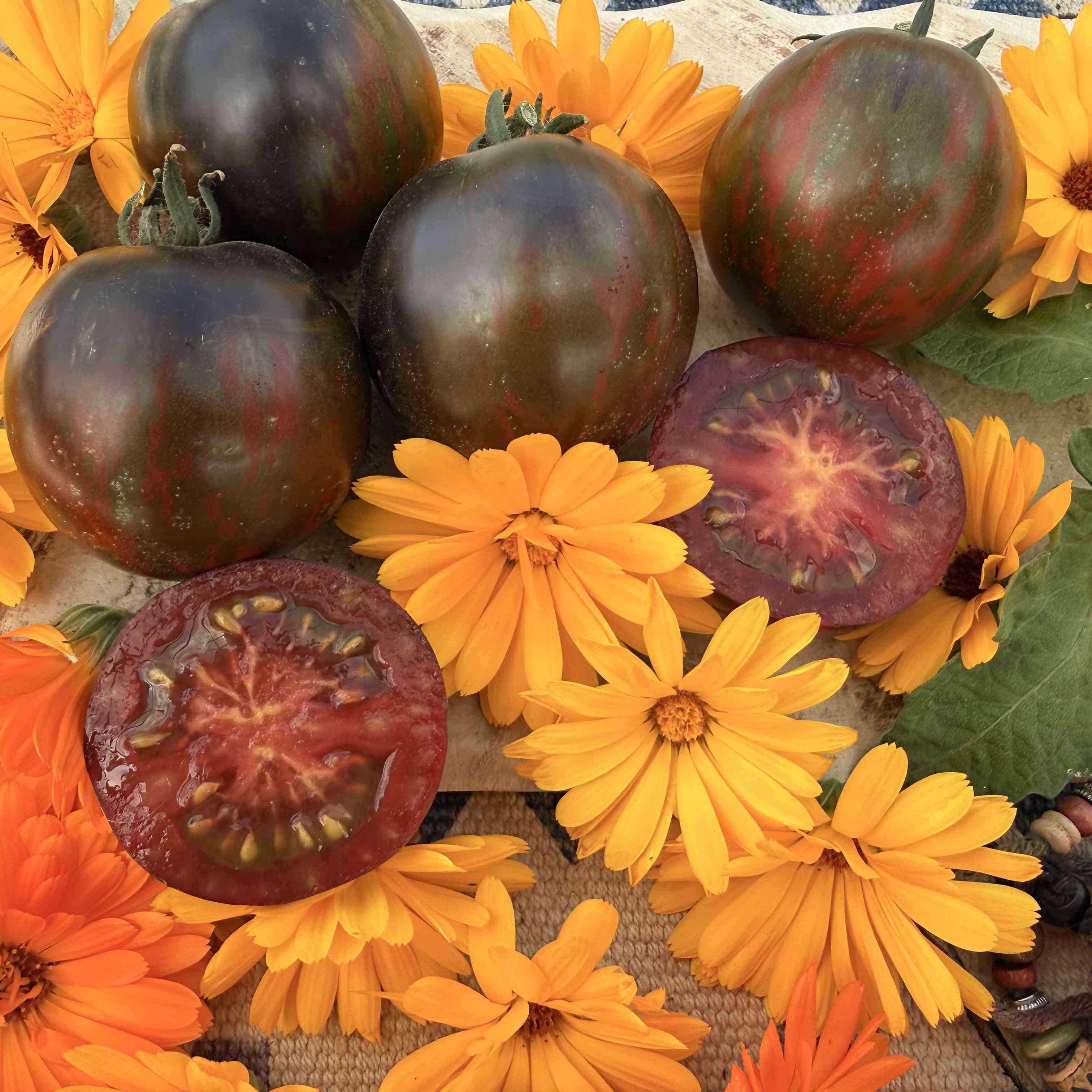 Tomatensaatgut Gondwana Lava