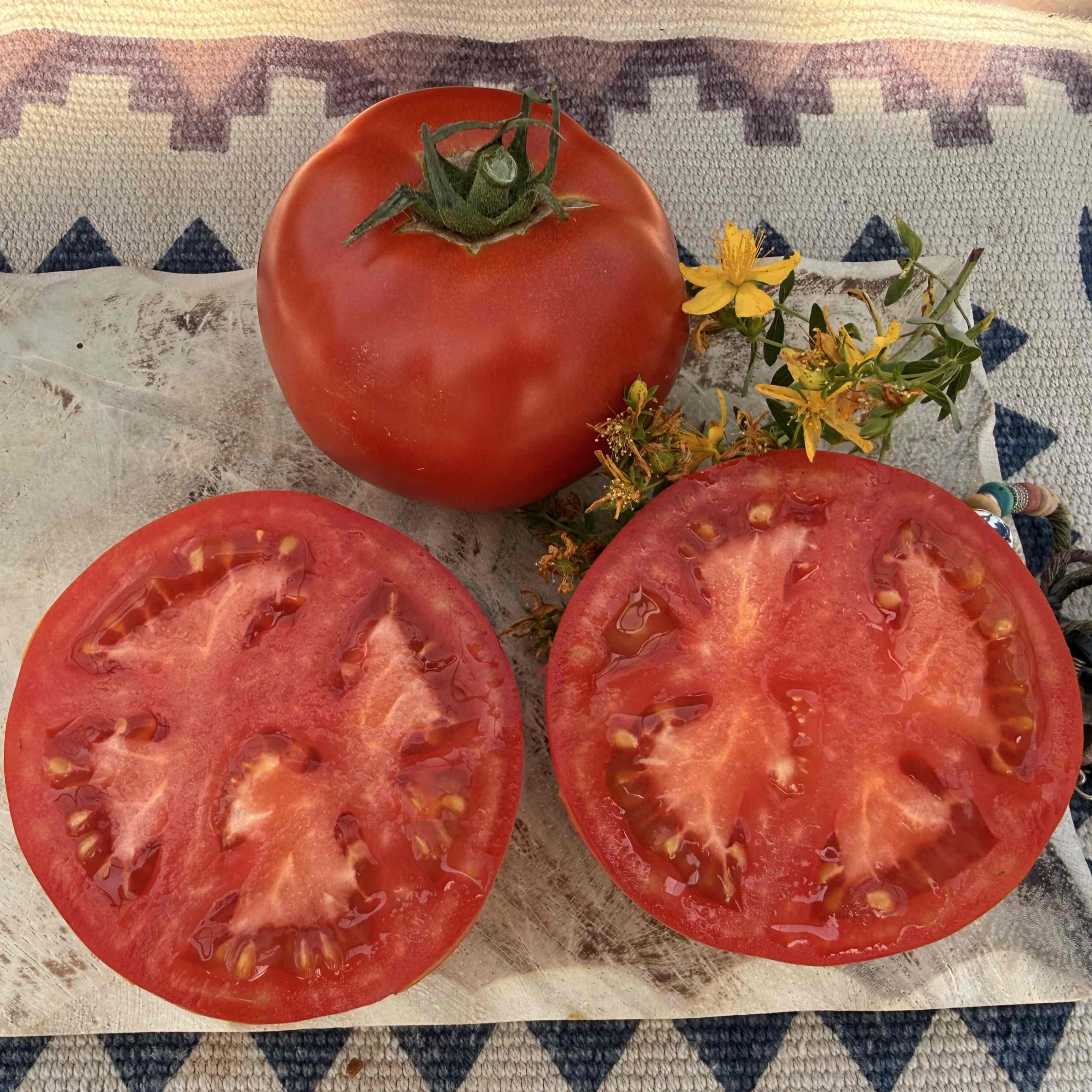 Tomatensaatgut Tres Cantos