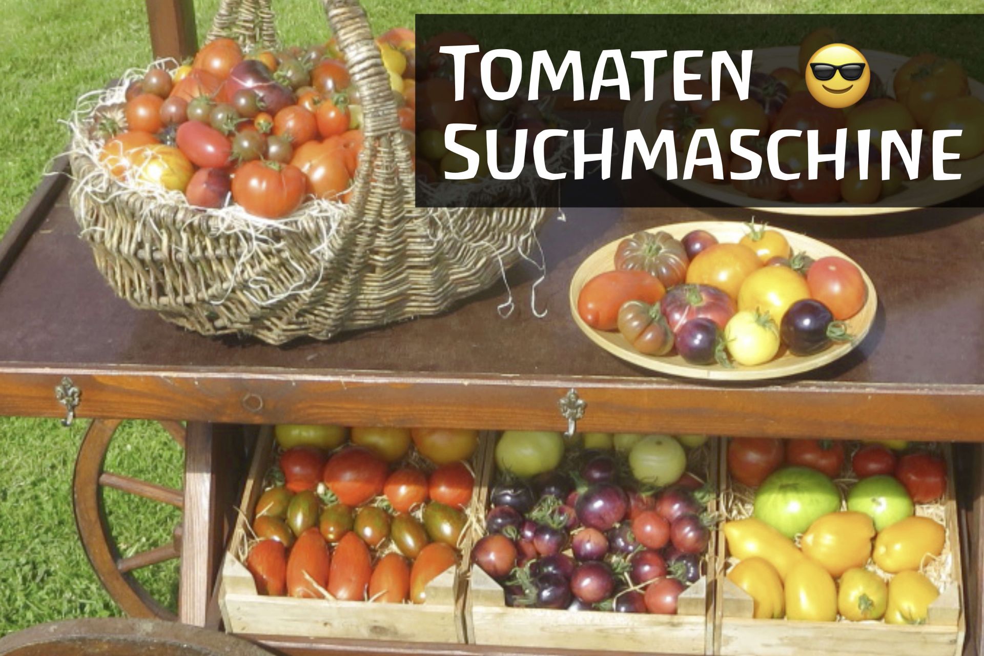 künstlicher bambusbaum Künstlicher Bambus deluxe - Marleen